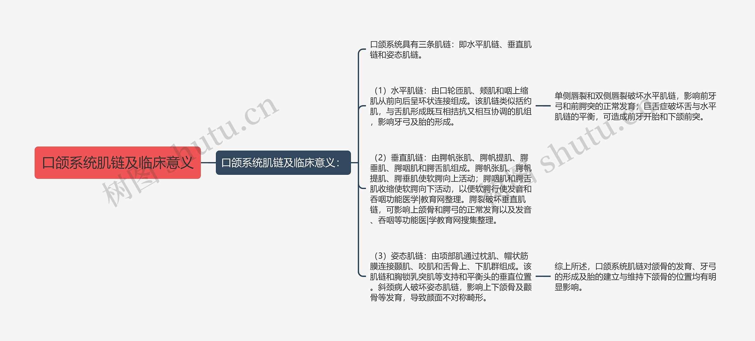 口颌系统肌链及临床意义思维导图