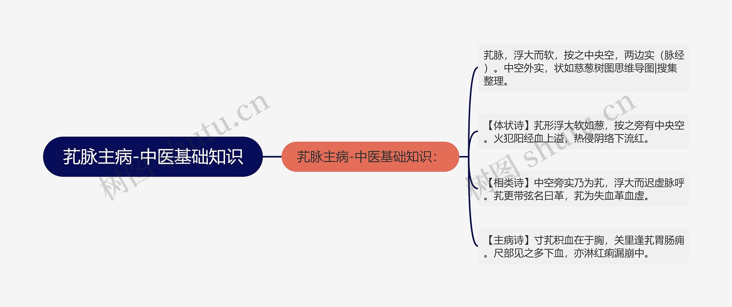 芤脉主病-中医基础知识