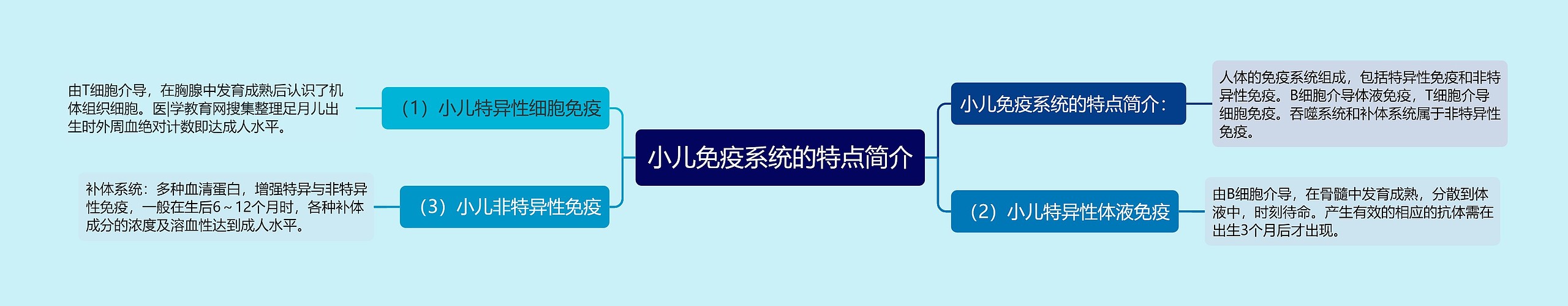 小儿免疫系统的特点简介