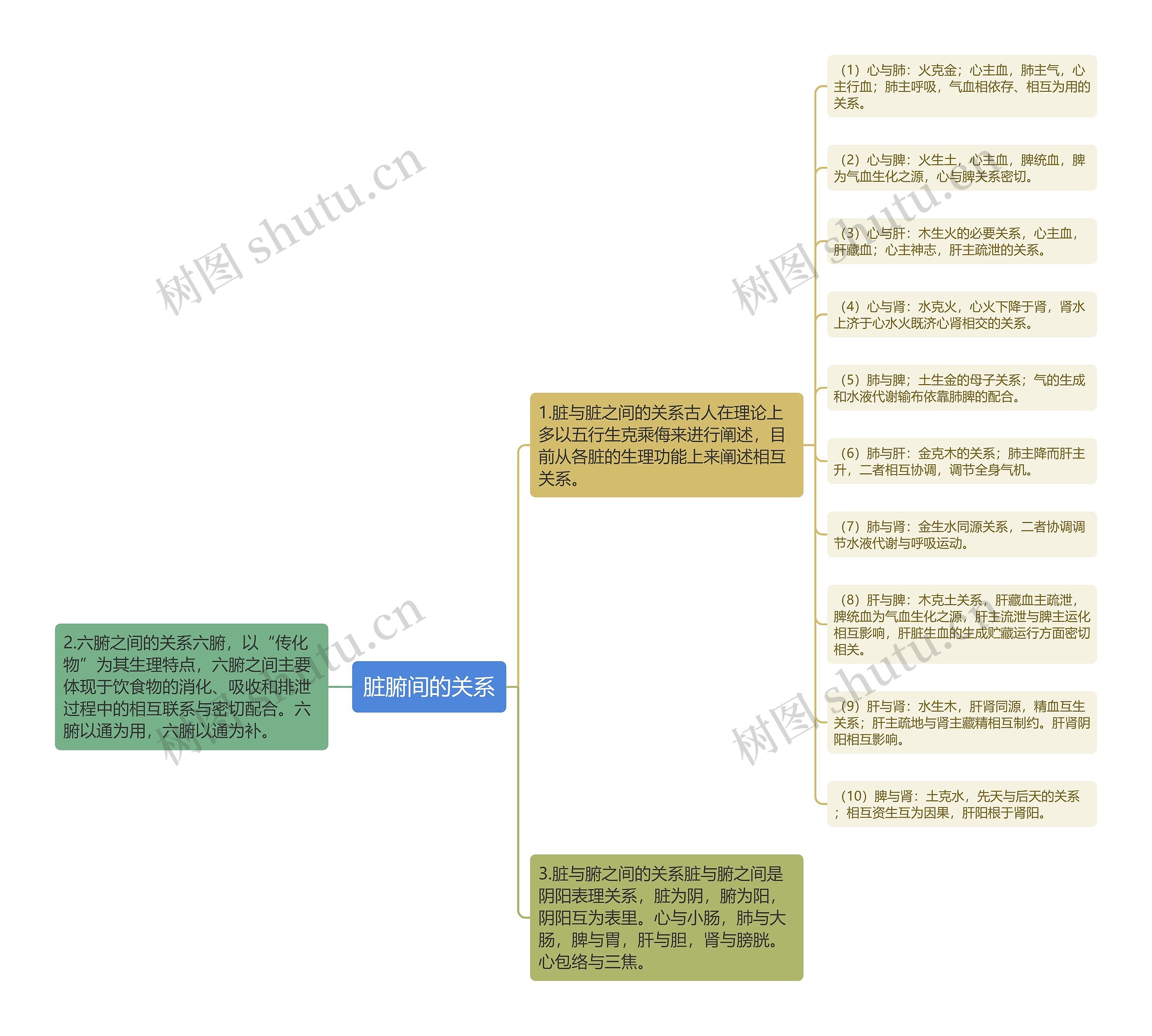 脏腑间的关系思维导图