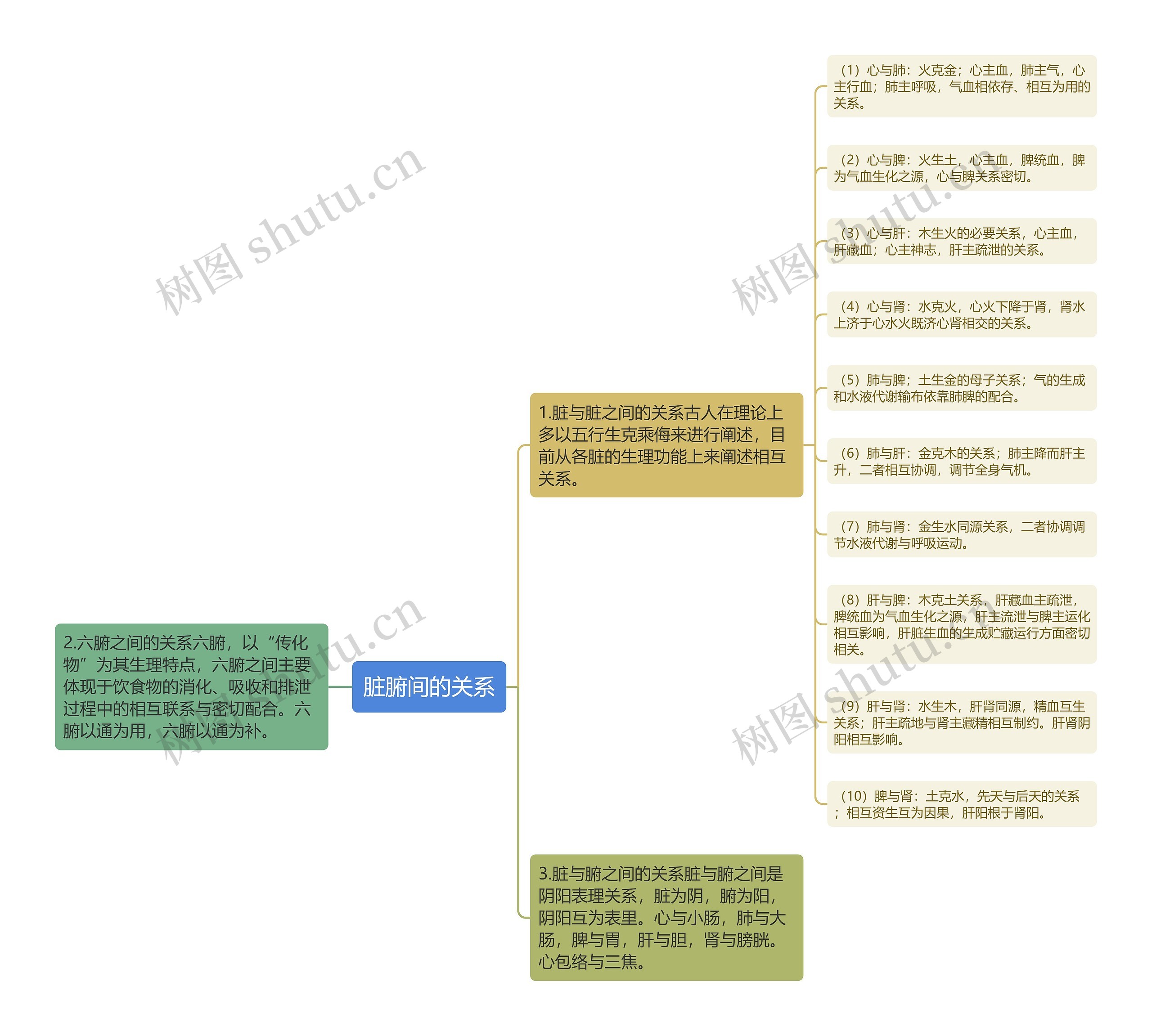 脏腑间的关系 脏腑间的关系