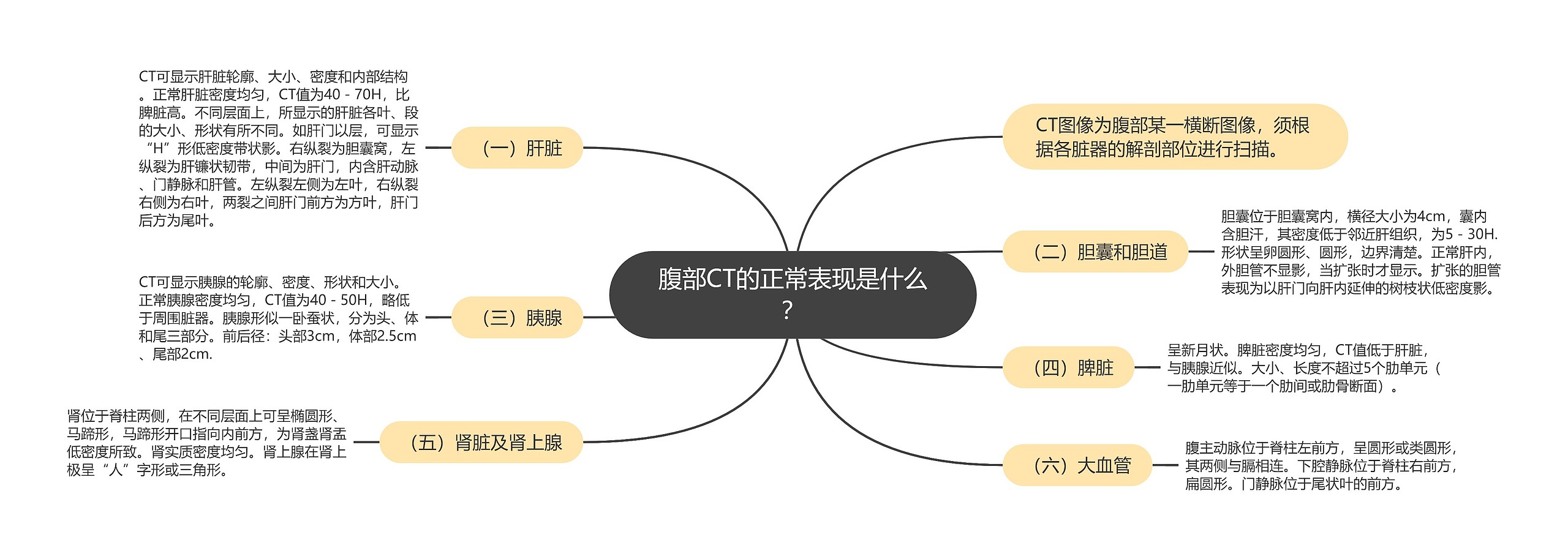 腹部CT的正常表现是什么？思维导图