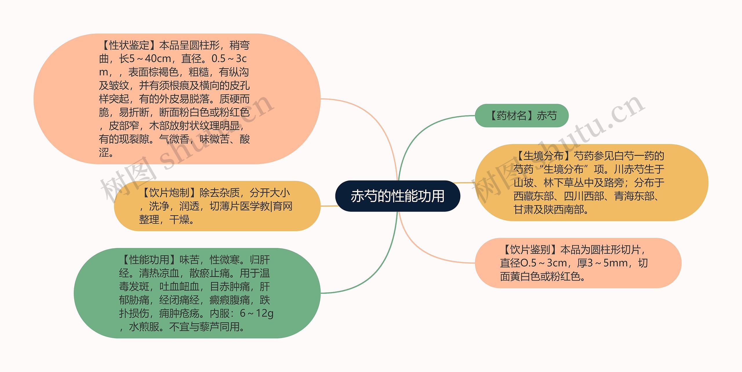 赤芍的性能功用思维导图