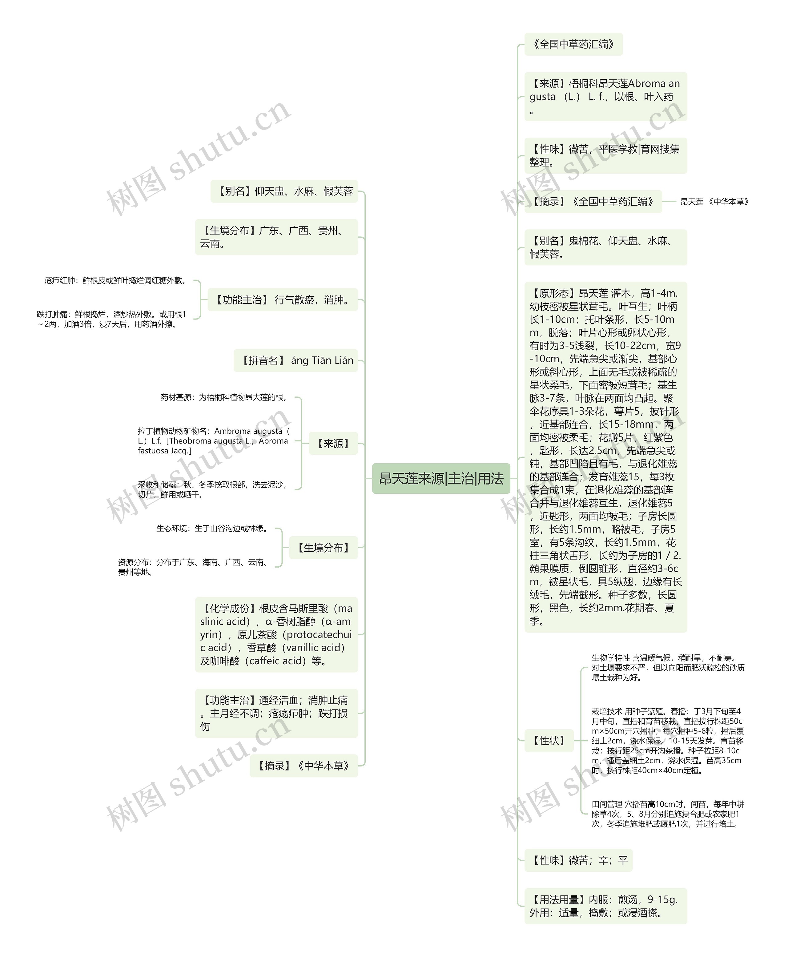 昂天莲来源|主治|用法思维导图