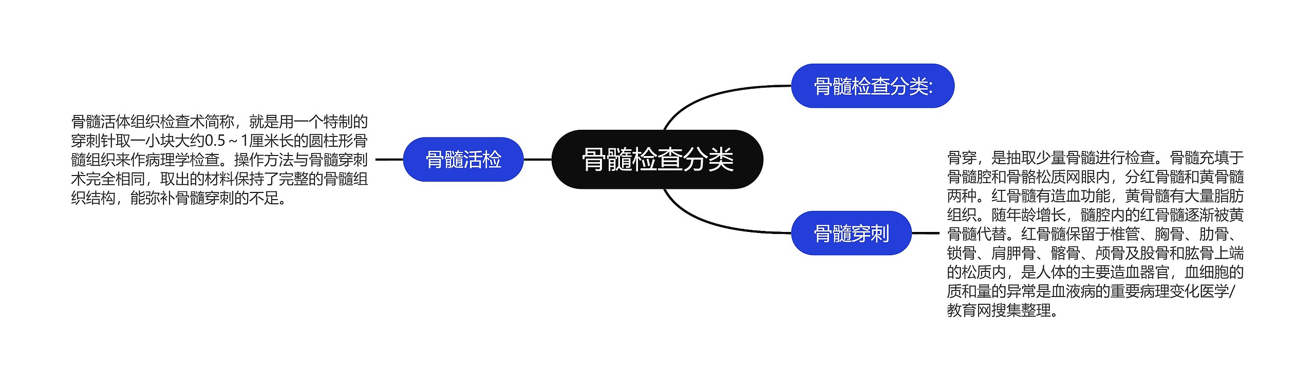 骨髓检查分类