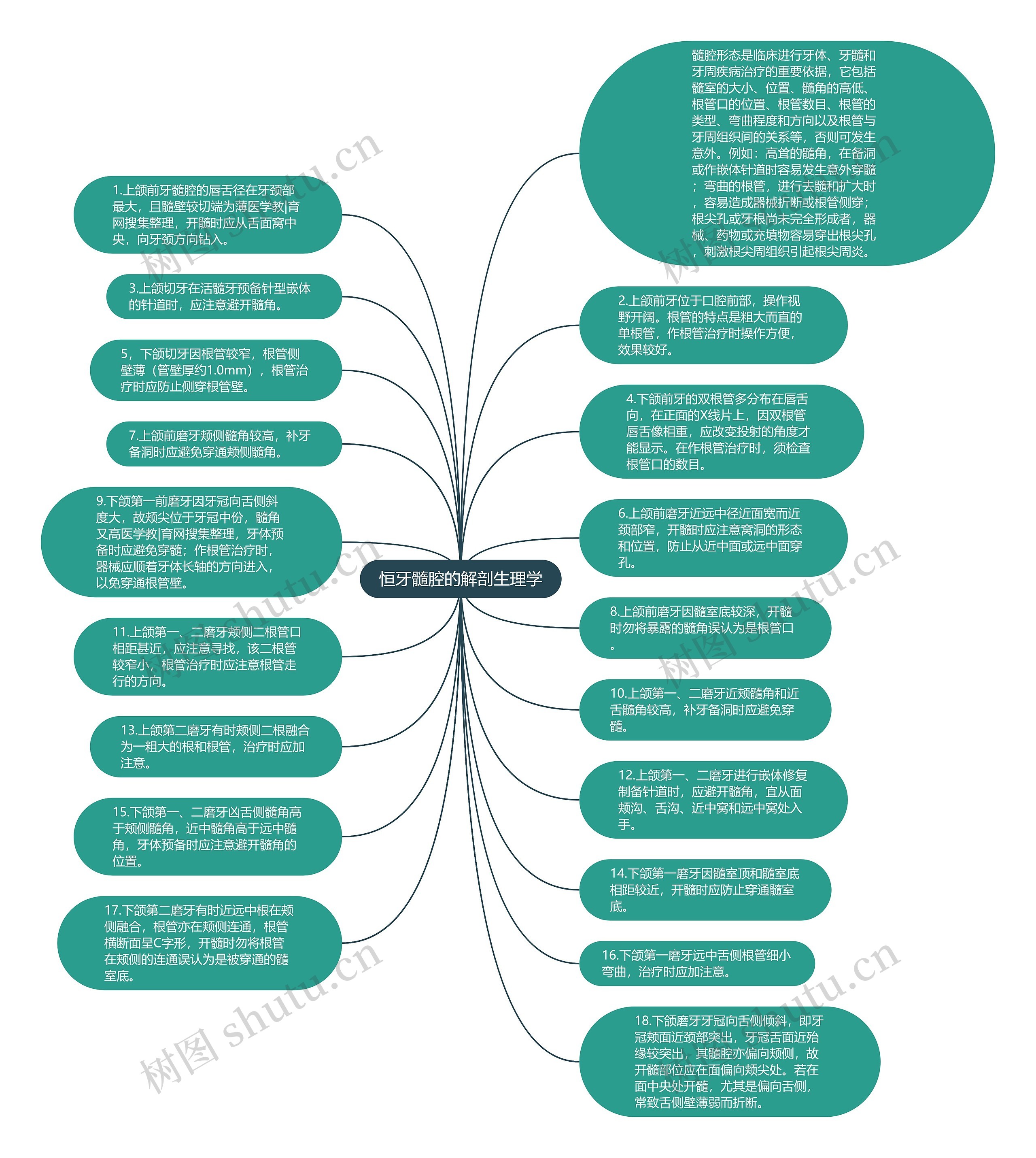 恒牙髓腔的解剖生理学思维导图