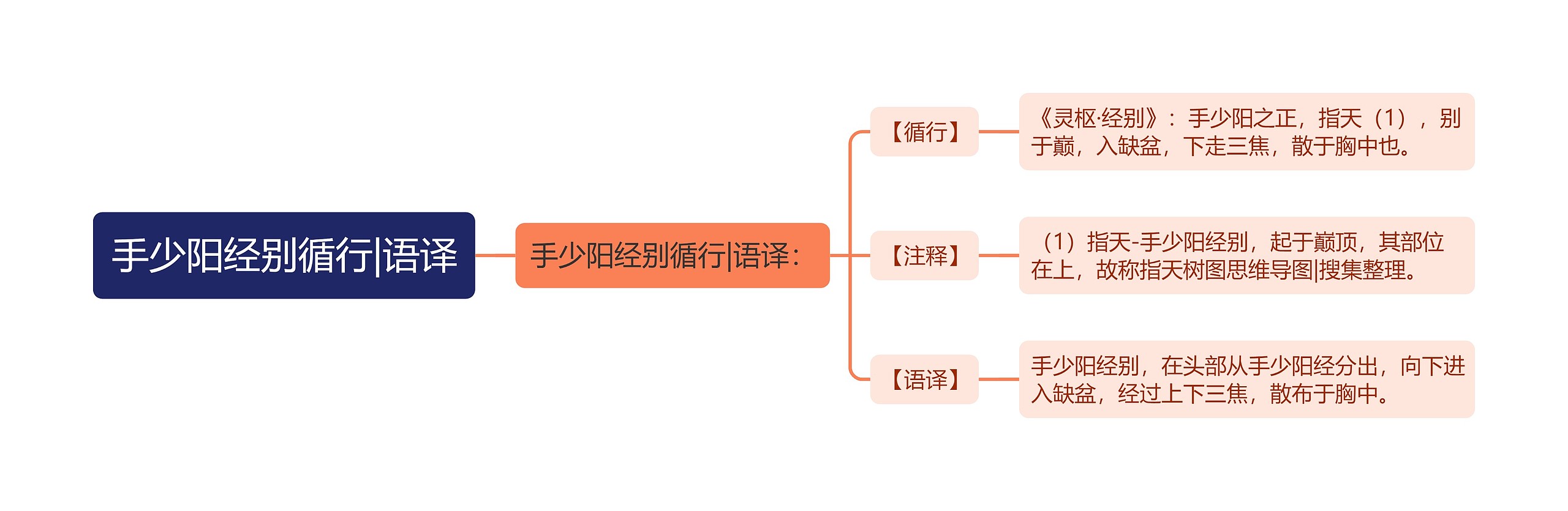 手少阳经别循行|语译思维导图