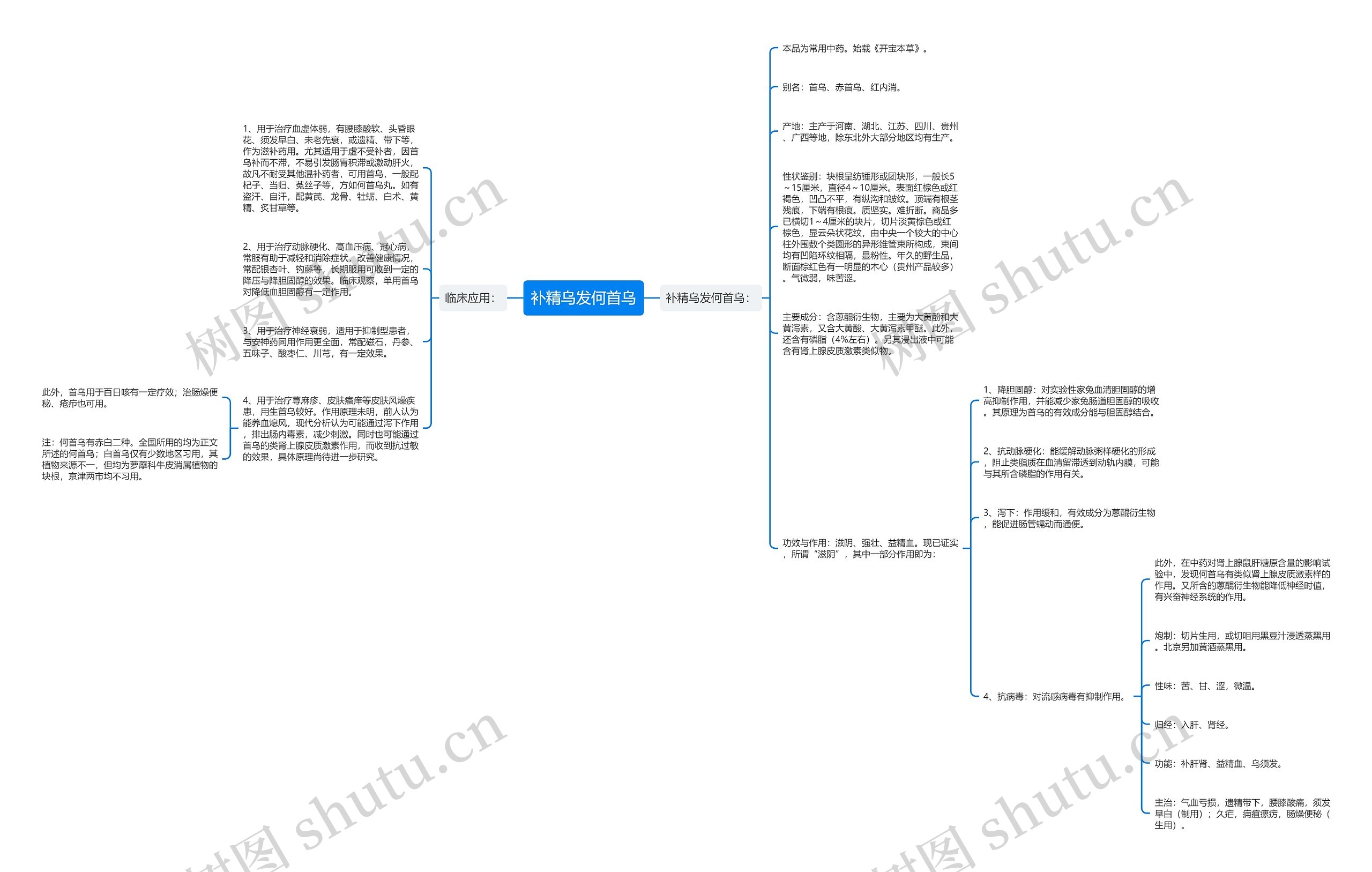 补精乌发何首乌 补精乌发何首乌