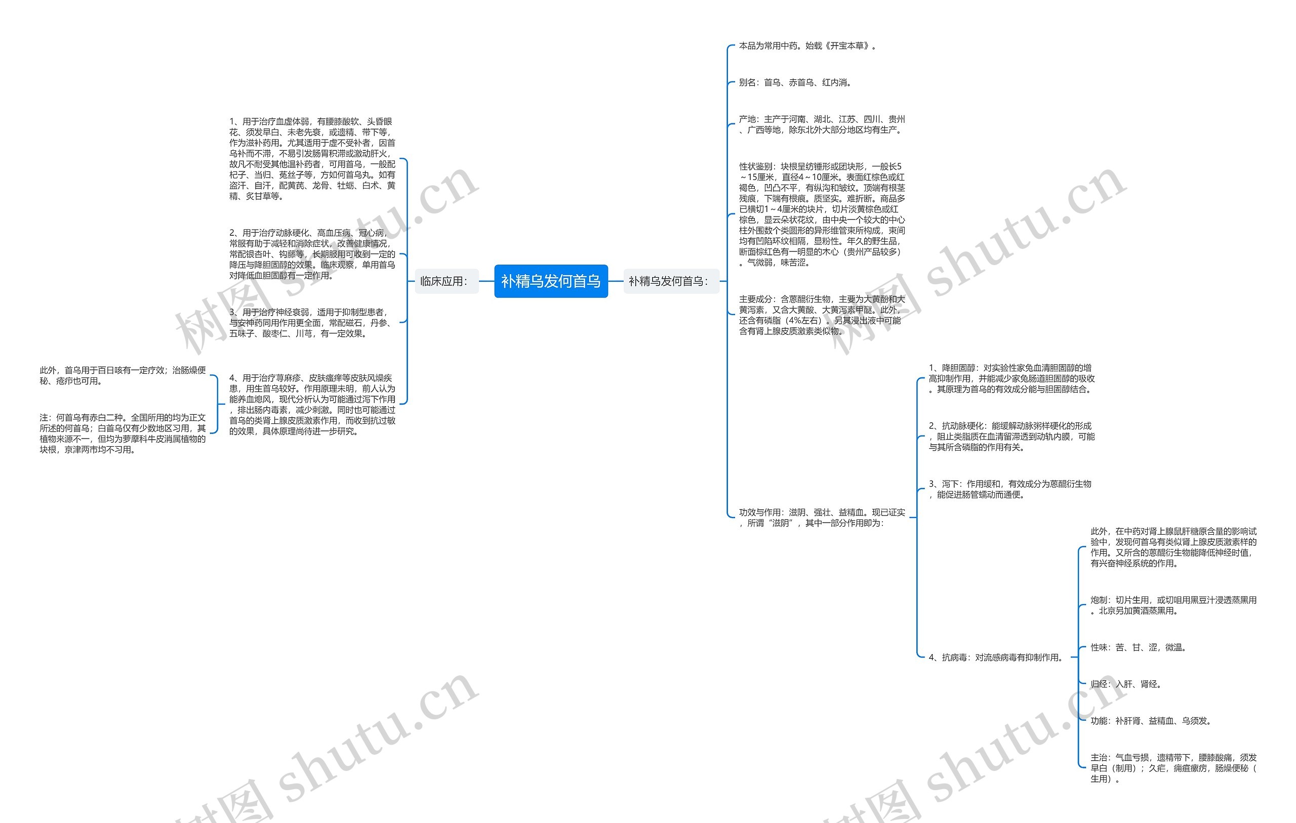 补精乌发何首乌思维导图