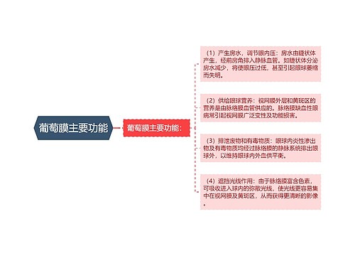 葡萄膜主要功能
