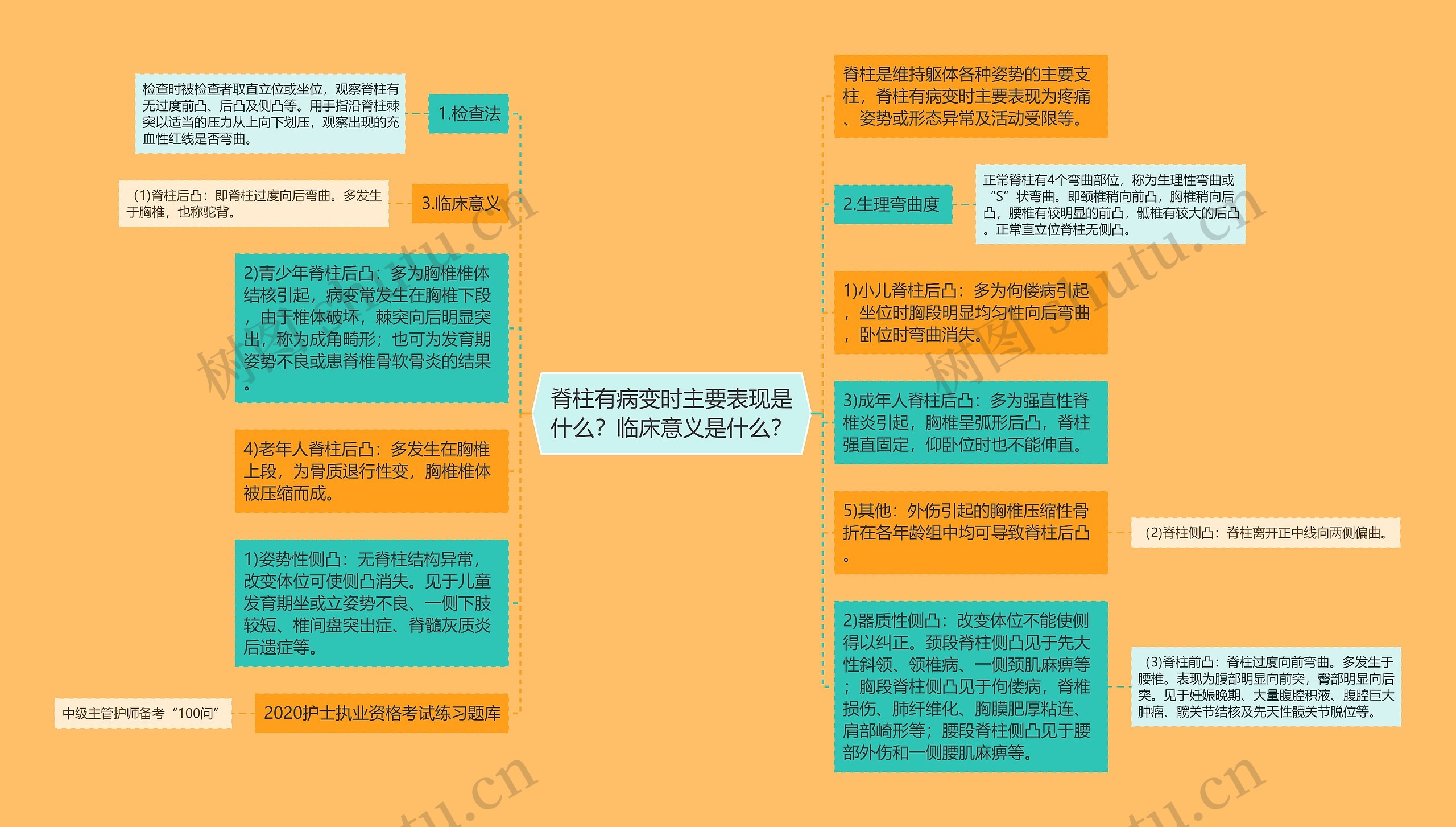 脊柱有病变时主要表现是什么？临床意义是什么？思维导图