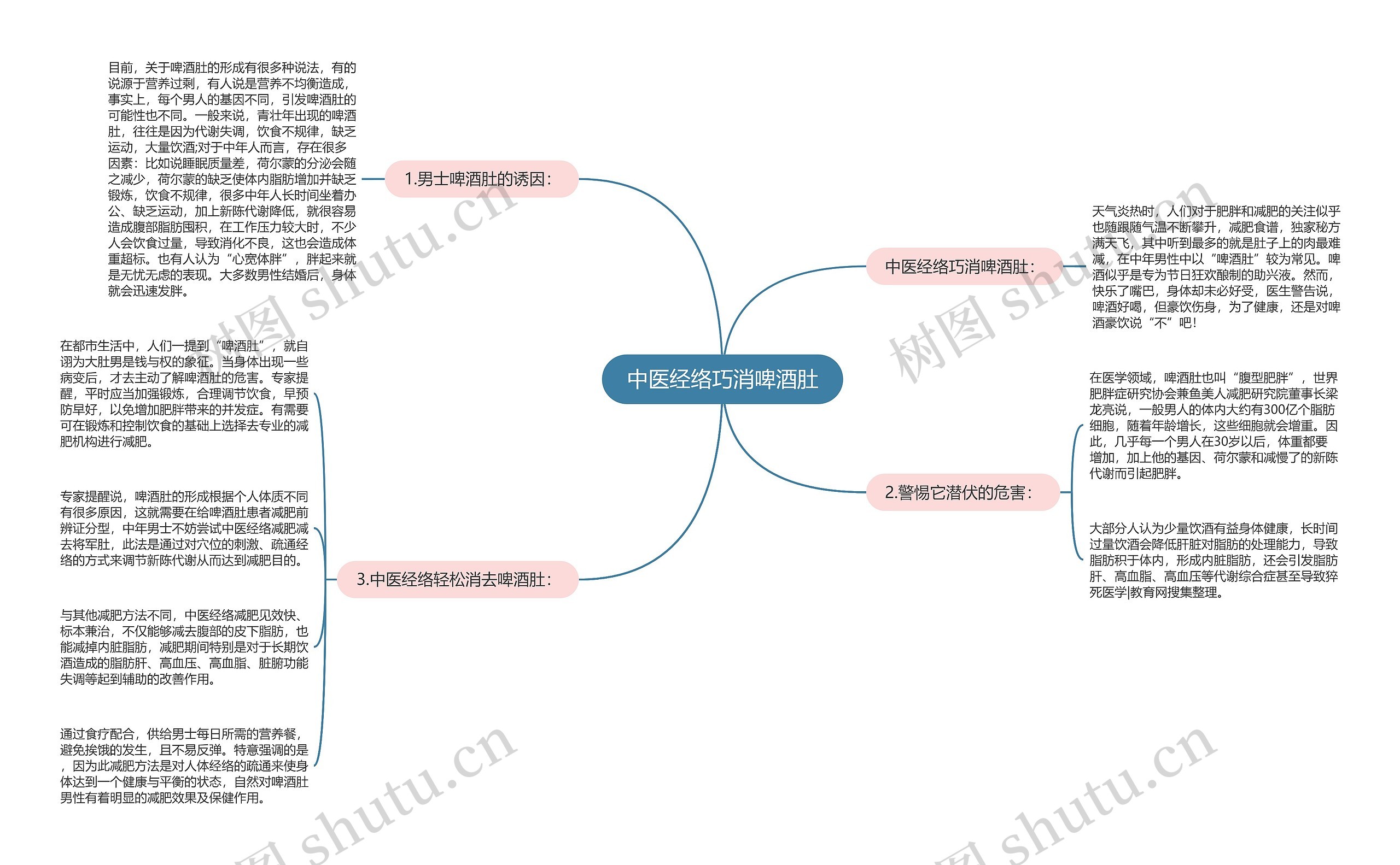 中医经络巧消啤酒肚思维导图