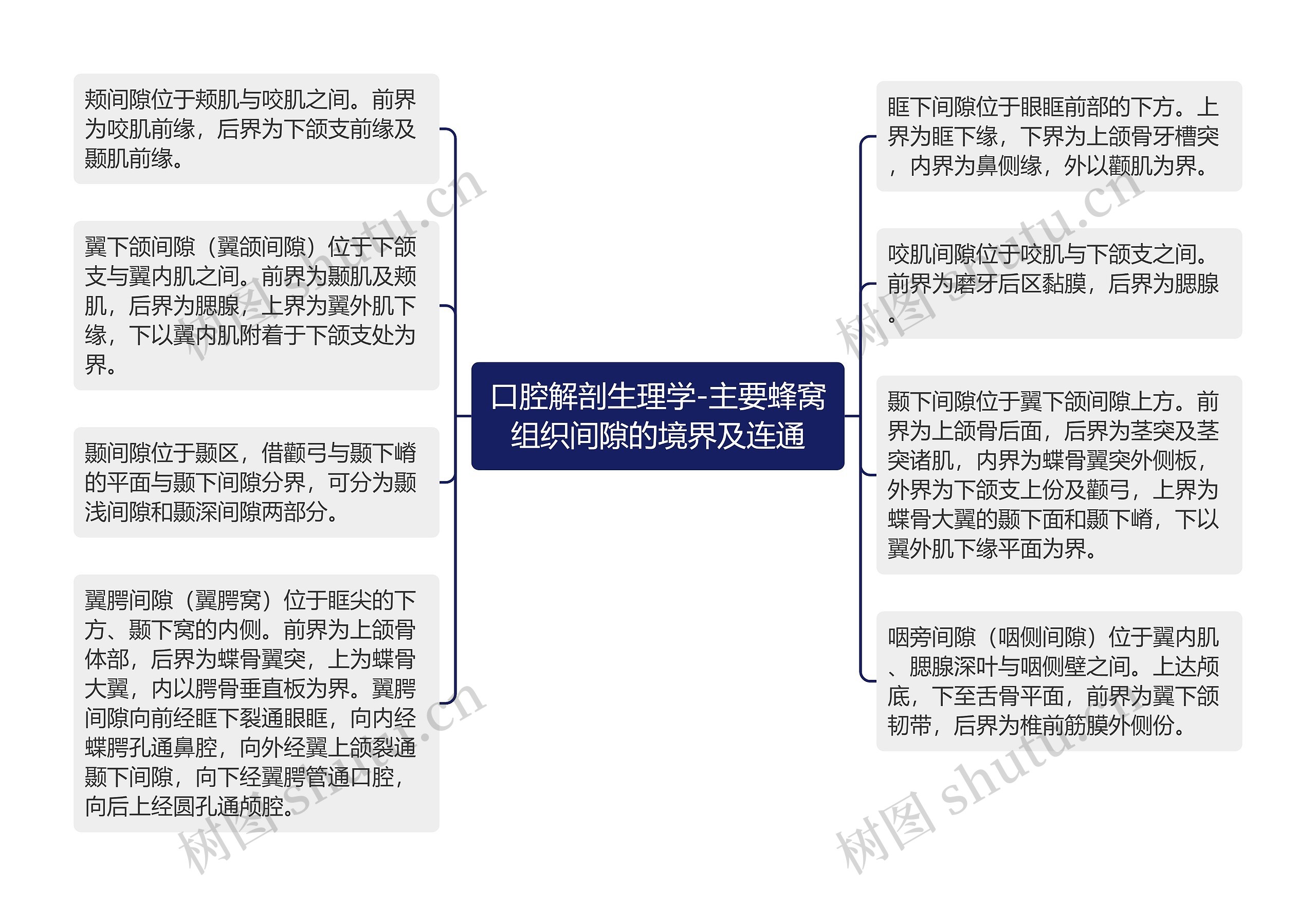 口腔解剖生理学-主要蜂窝组织间隙的境界及连通 口腔解剖生理学-主要蜂窝组织间隙的境界及连通