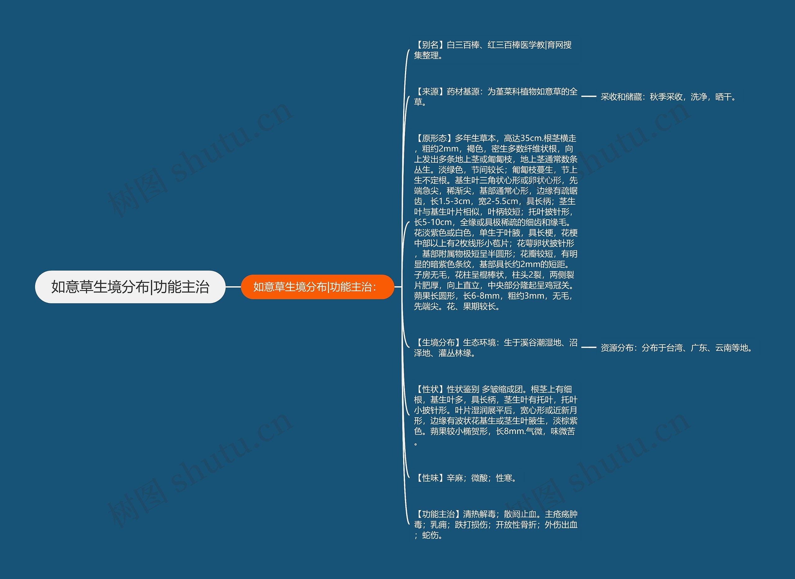 如意草生境分布|功能主治思维导图