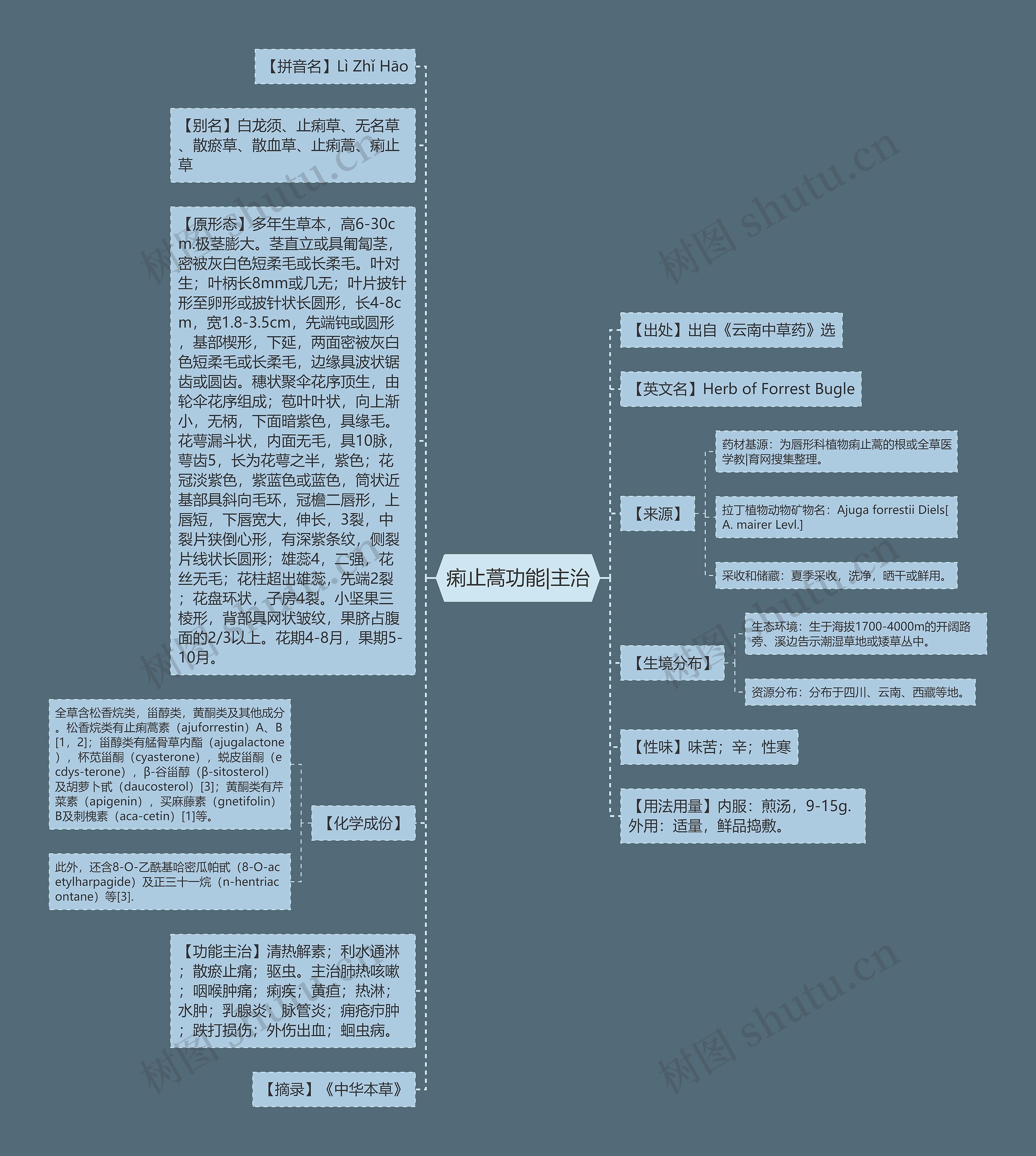 痢止蒿功能|主治思维导图