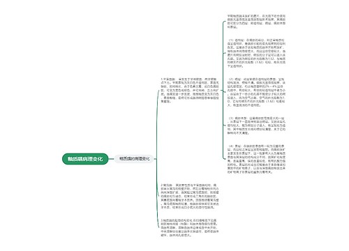 釉质龋病理变化