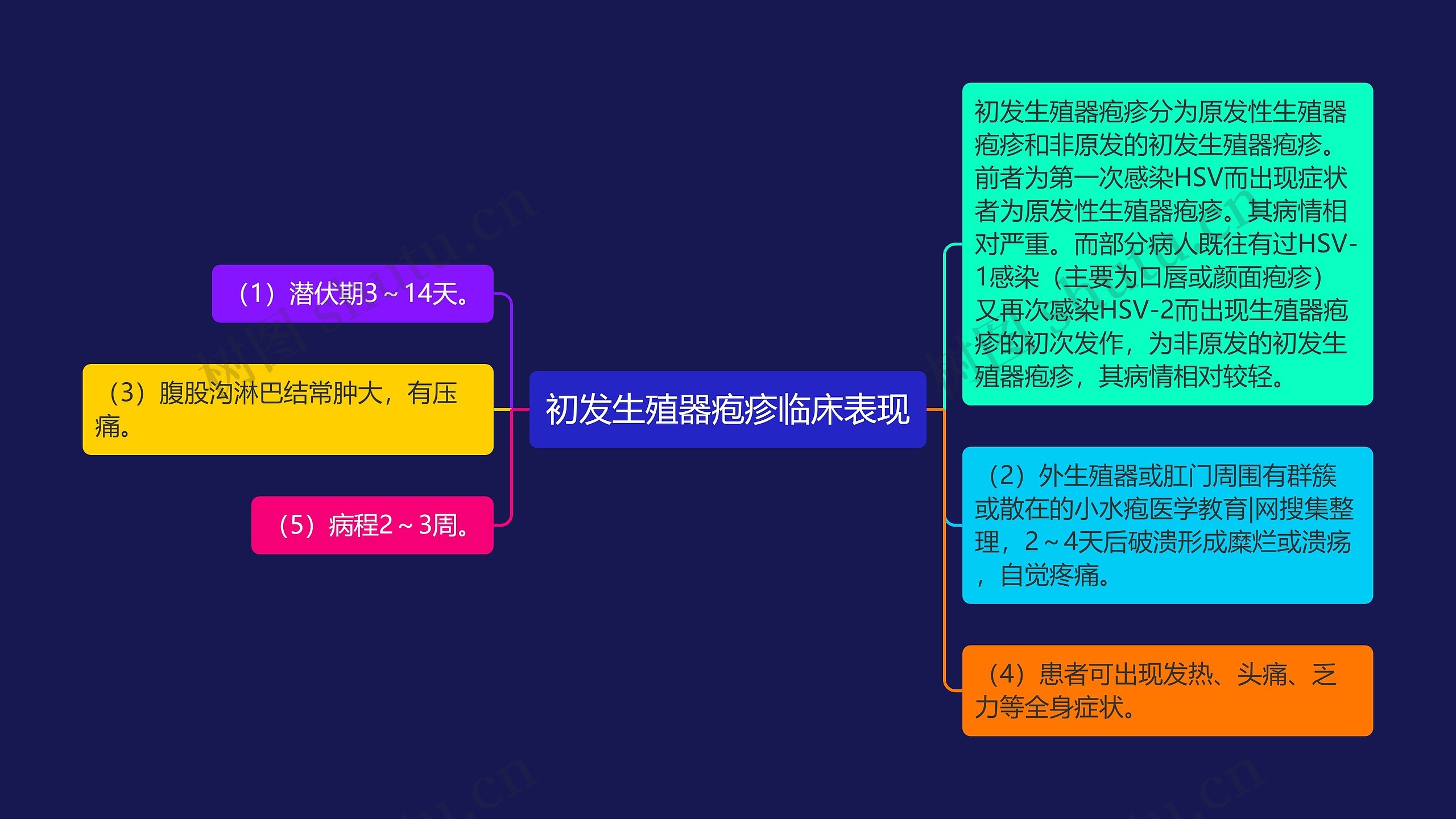 初发生殖器疱疹临床表现思维导图