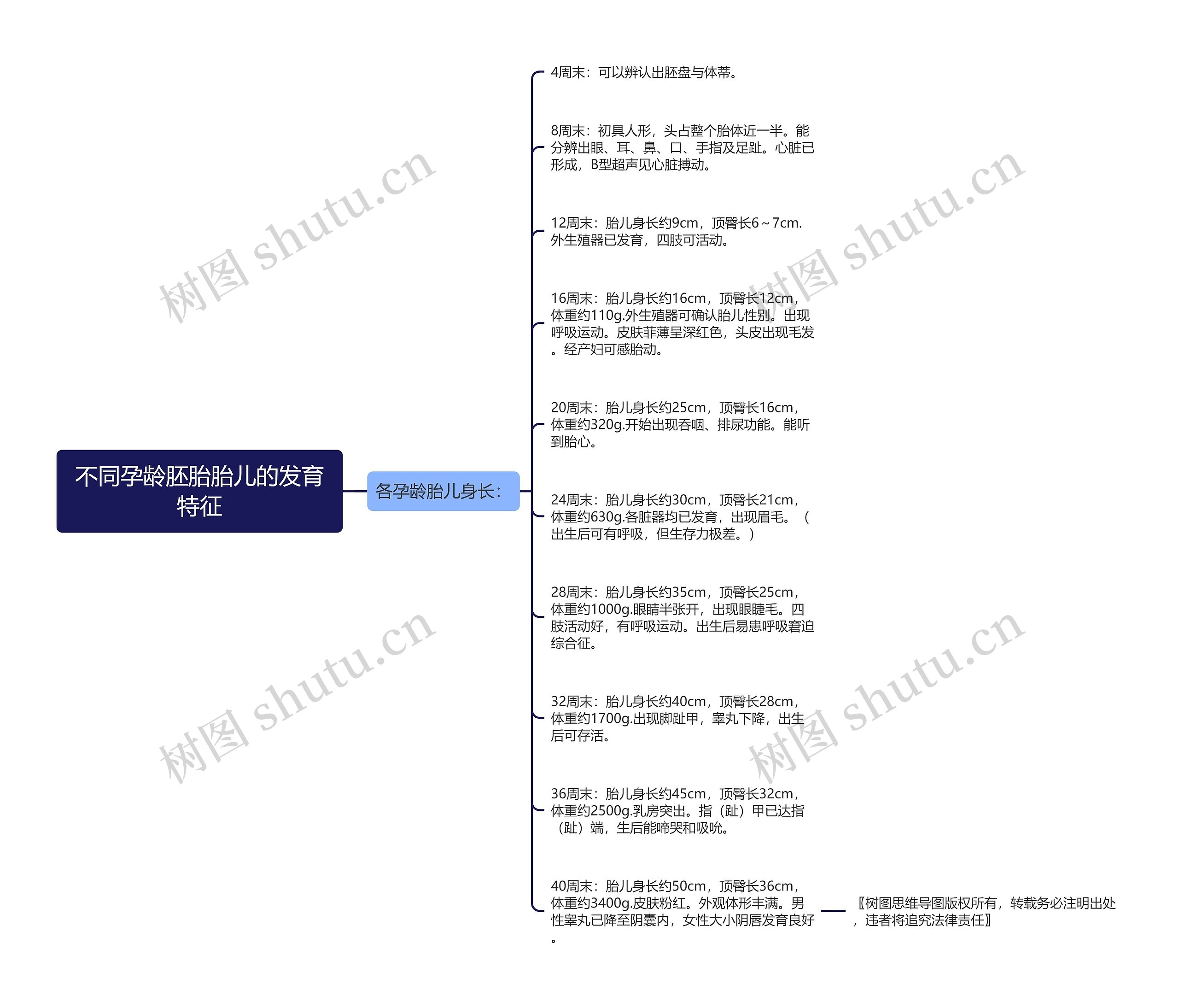 不同孕龄胚胎胎儿的发育特征 不同孕龄胚胎胎儿的发育特征