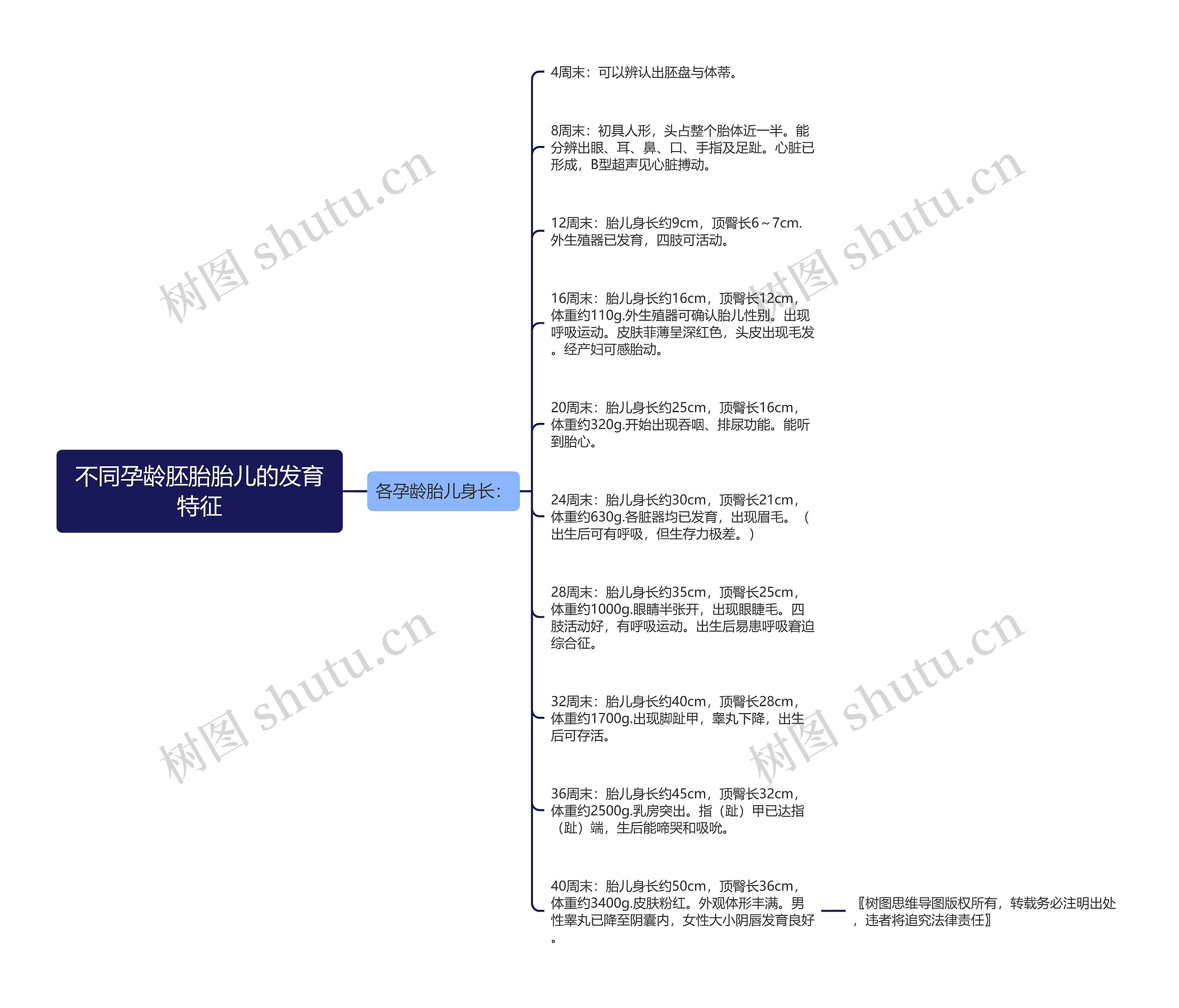 不同孕龄胚胎胎儿的发育特征思维导图