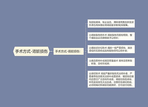 手术方式-肾脏损伤