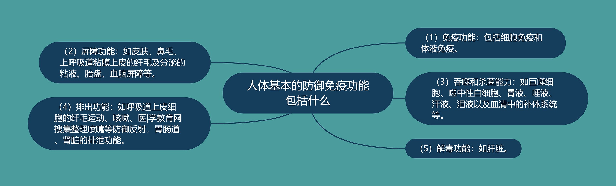 人体基本的防御免疫功能包括什么思维导图