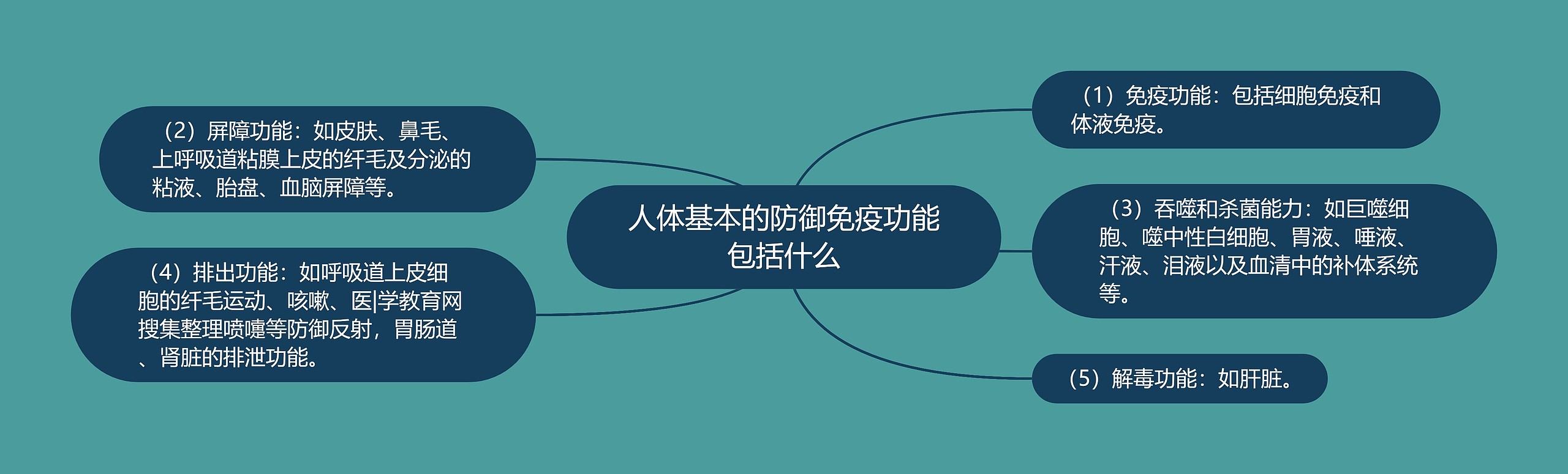 人体基本的防御免疫功能包括什么 人体基本的防御免疫功能包括什么