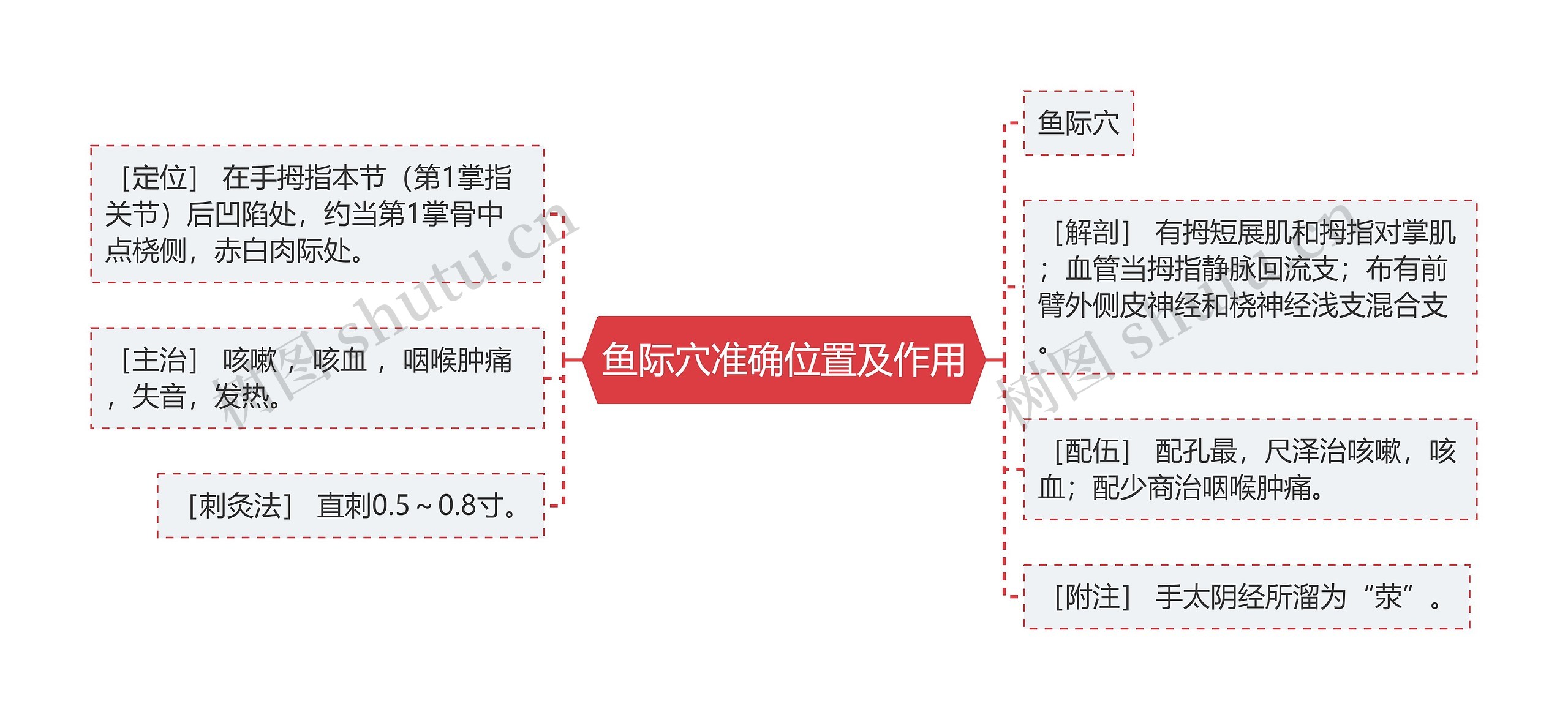 鱼际穴准确位置及作用思维导图