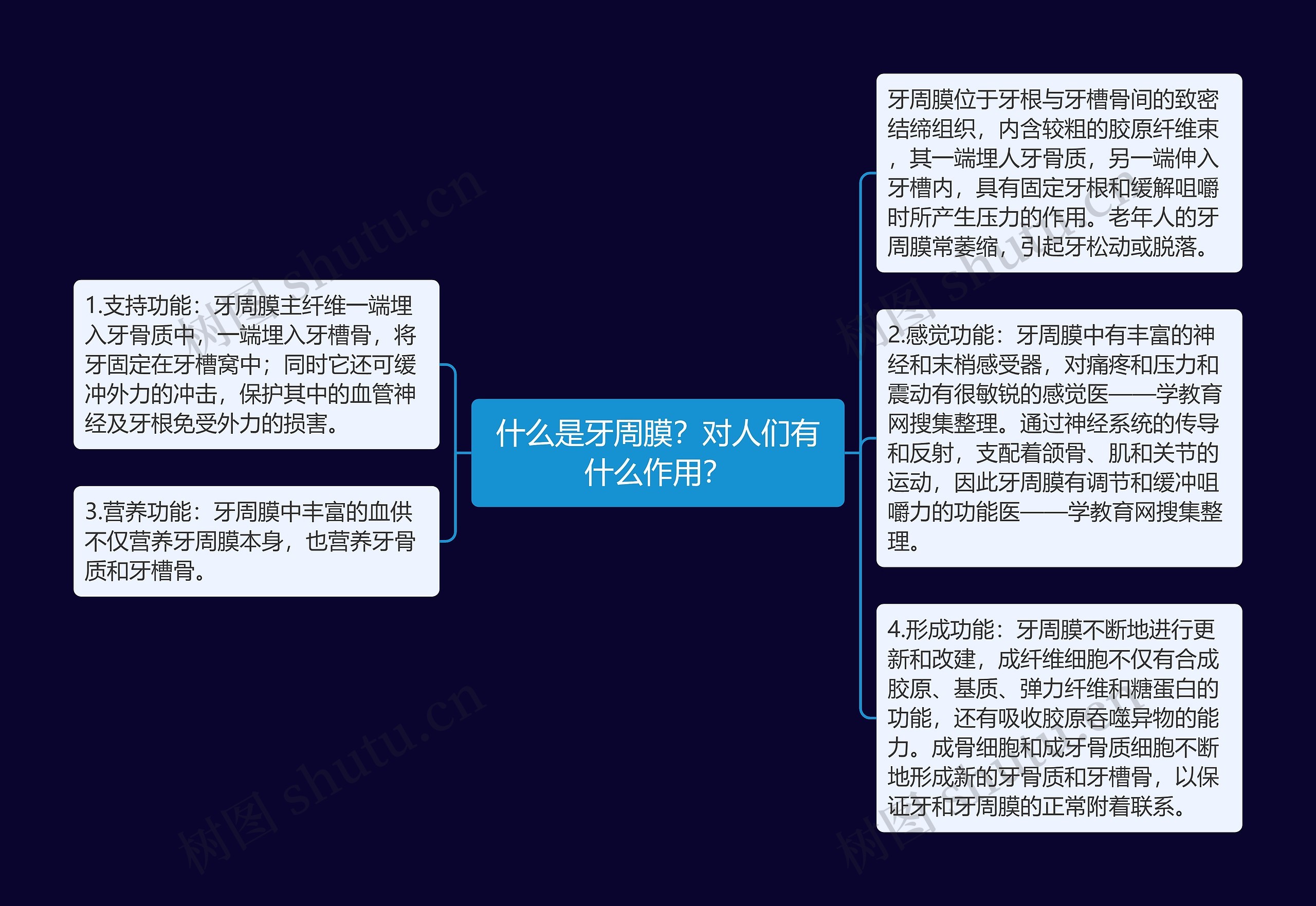 什么是牙周膜?对人们有什么作用? 什么是牙周膜?对人们有什么作用?