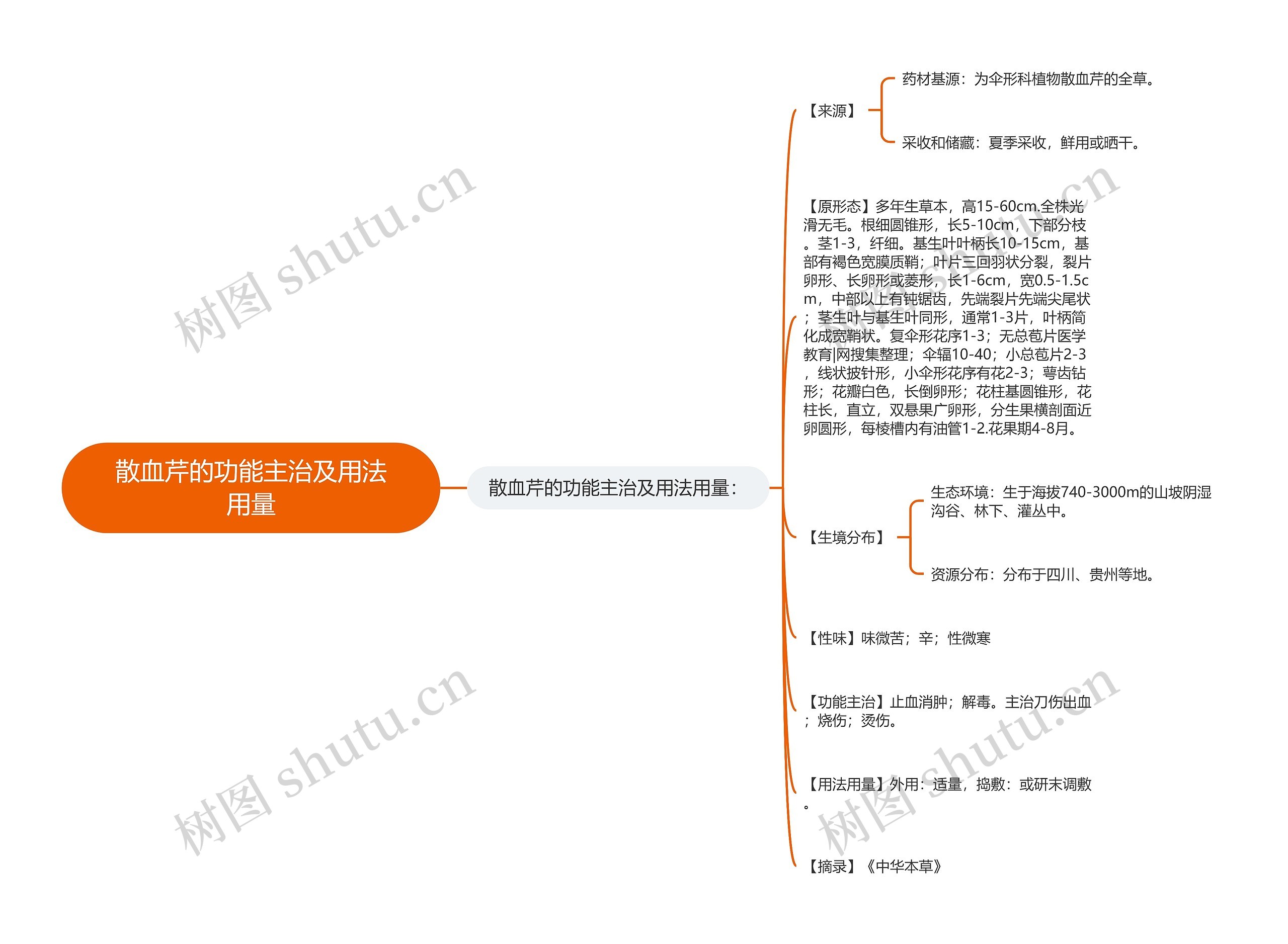 散血芹的功能主治及用法用量思维导图