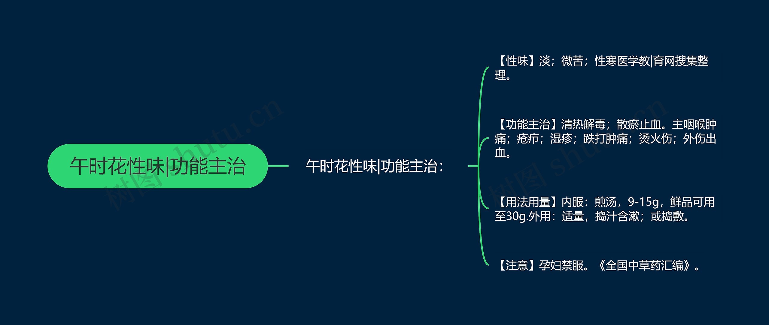 午时花性味|功能主治思维导图