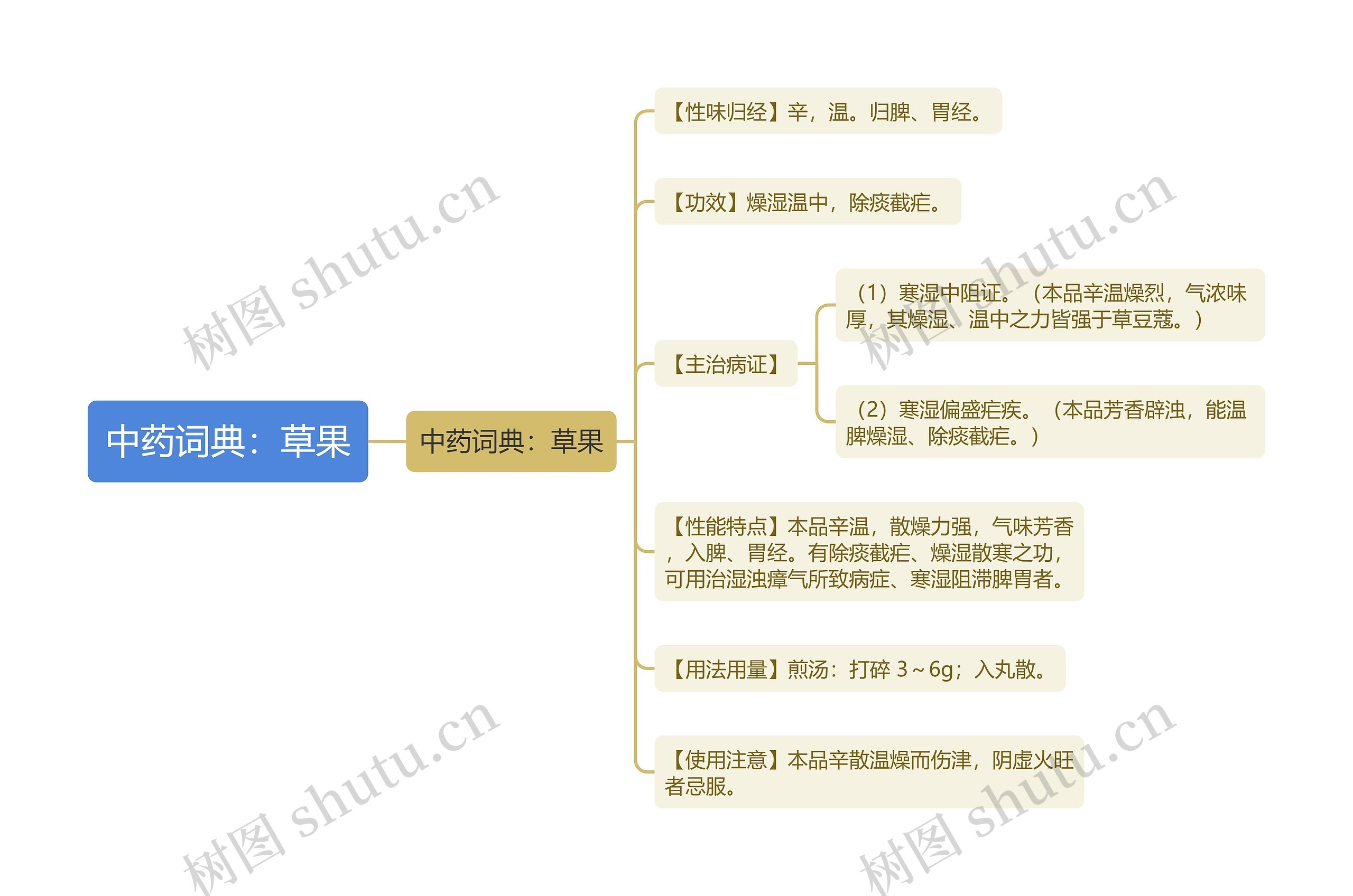 中药词典：草果思维导图