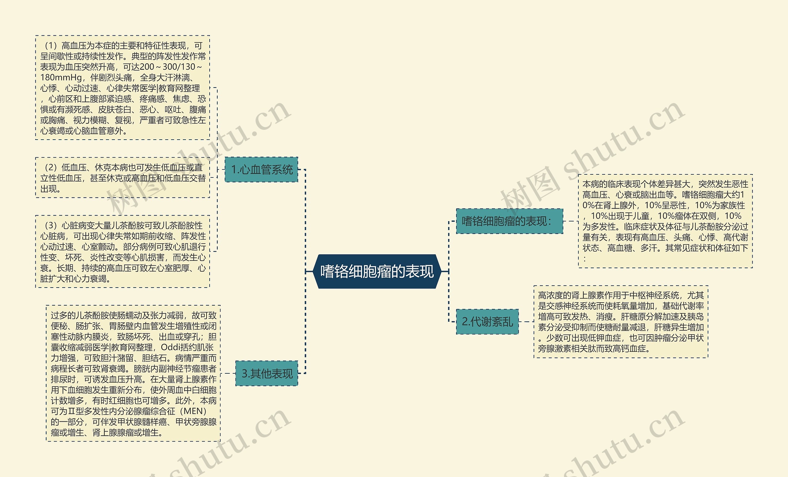 嗜铬细胞瘤的表现思维导图