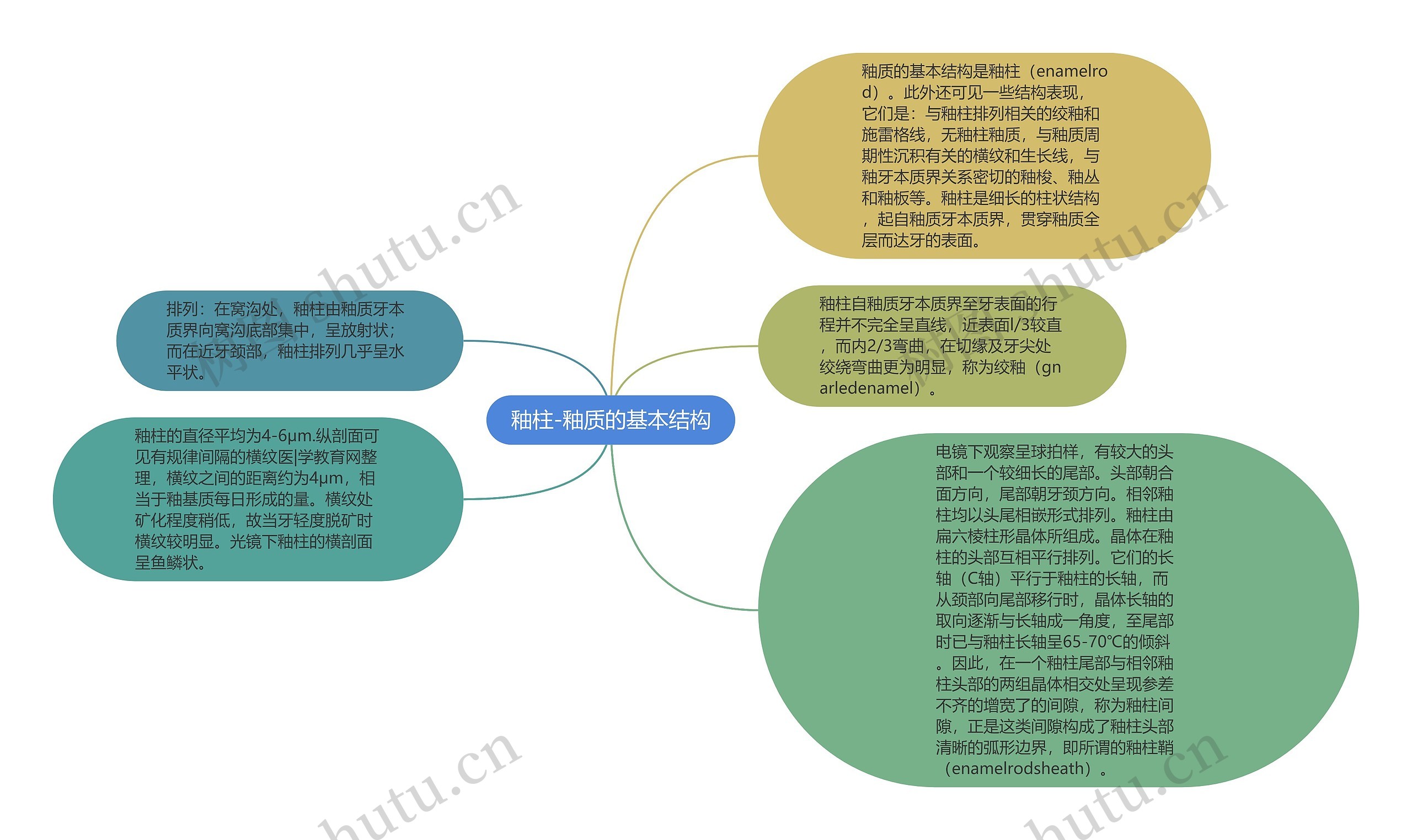 釉柱-釉质的基本结构思维导图