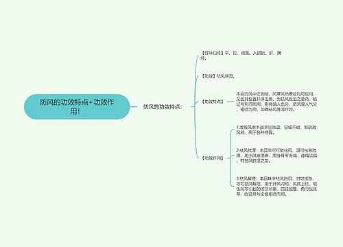 防风的功效特点+功效作用！