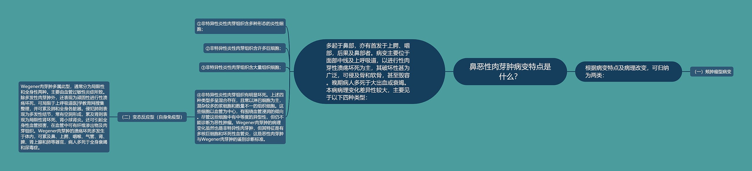 鼻恶性肉芽肿病变特点是什么？