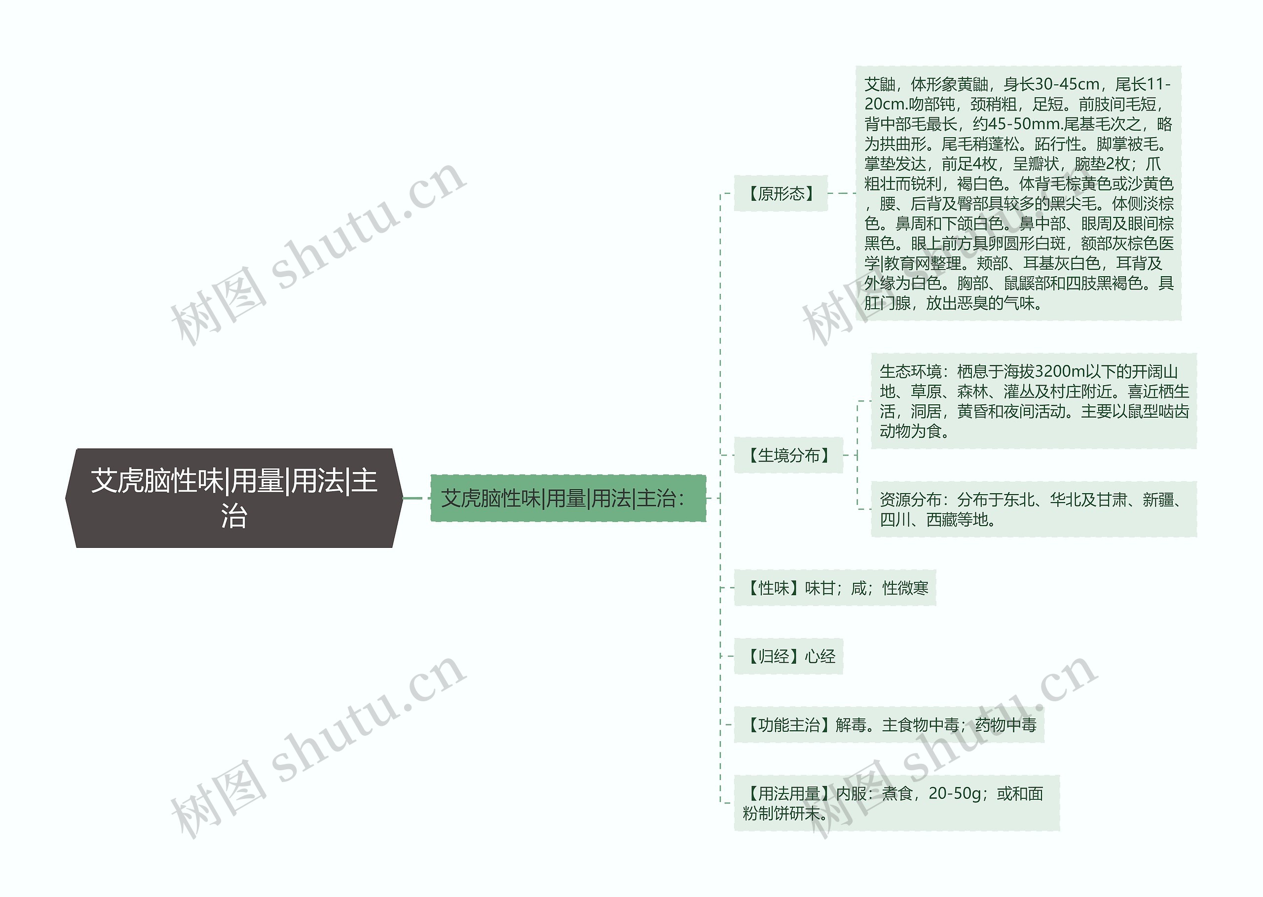 艾虎脑性味|用量|用法|主治思维导图