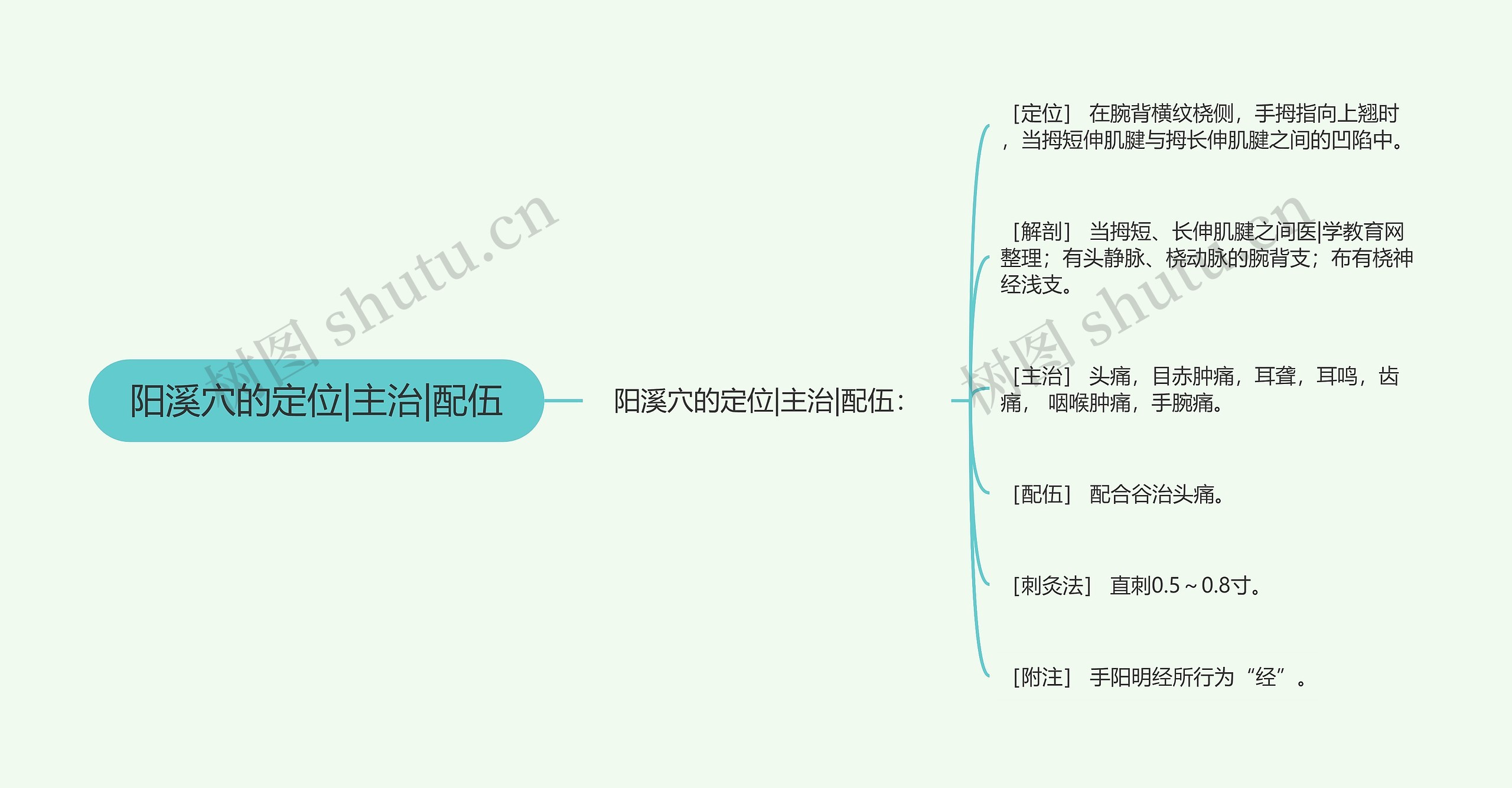 阳溪穴的定位|主治|配伍思维导图