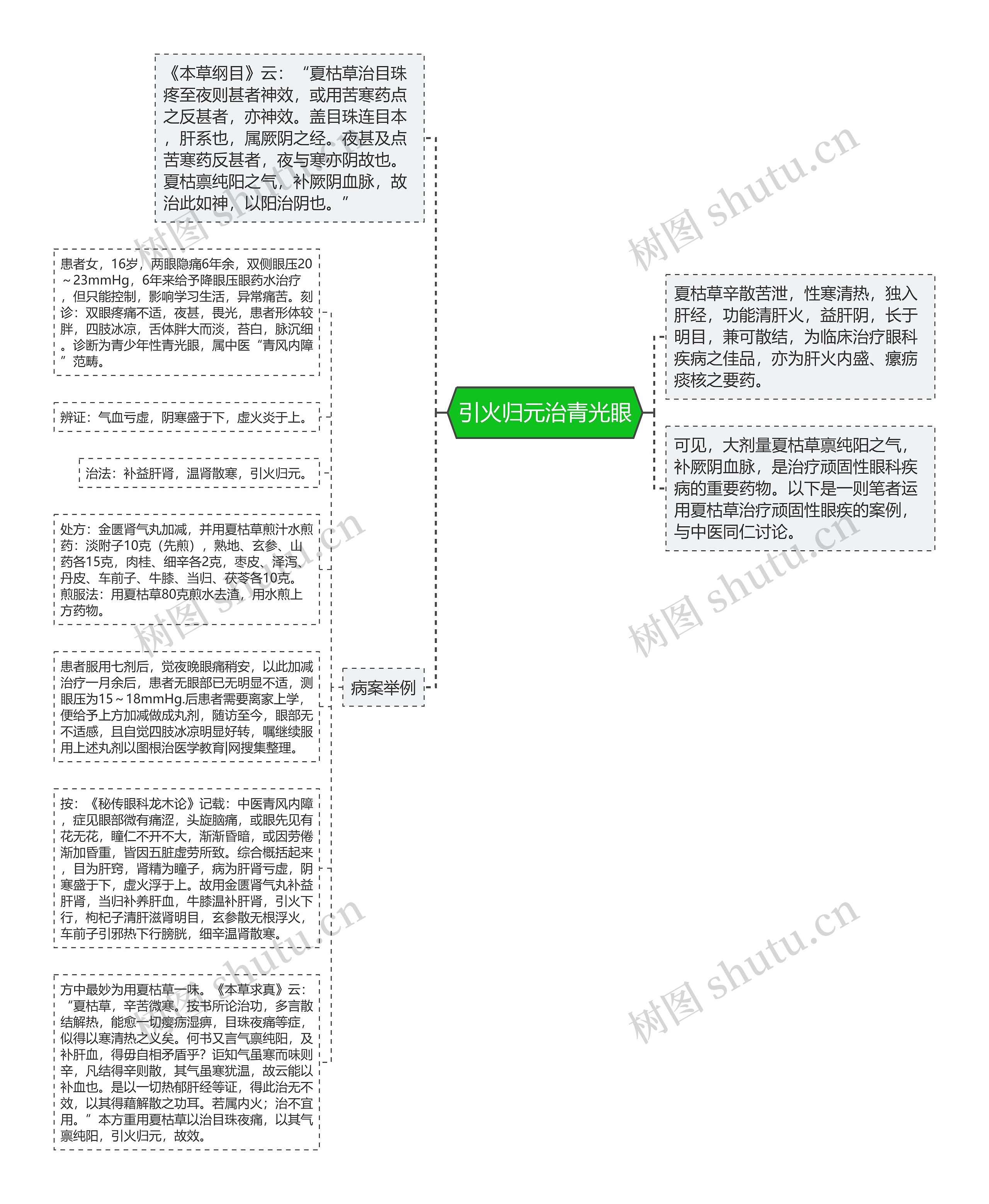 引火归元治青光眼思维导图