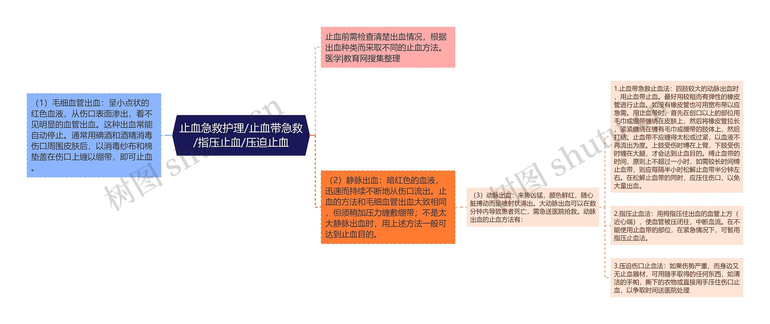 止血急救护理/止血带急救/指压止血/压迫止血 止血急救护理/止血带急救/指压止血/压迫止血