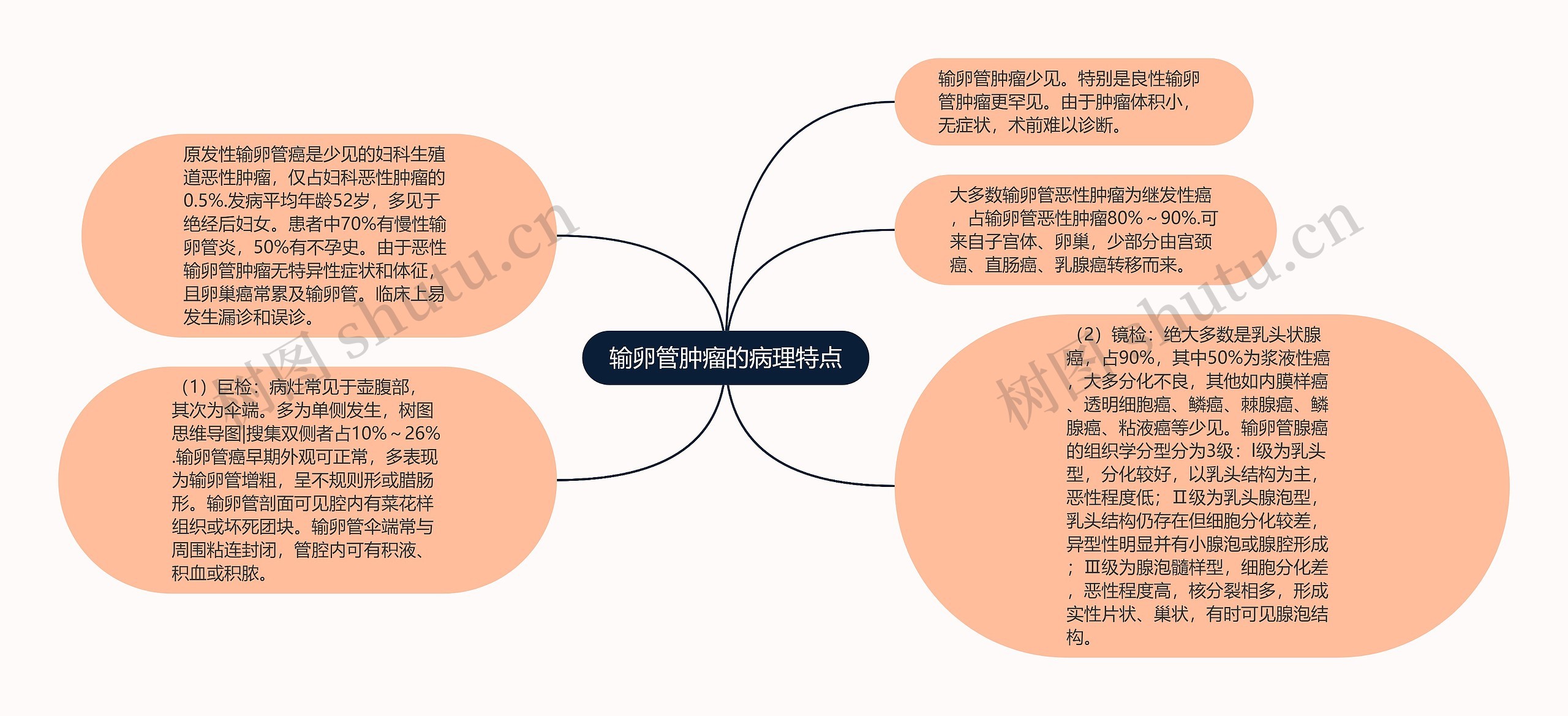 输卵管肿瘤的病理特点