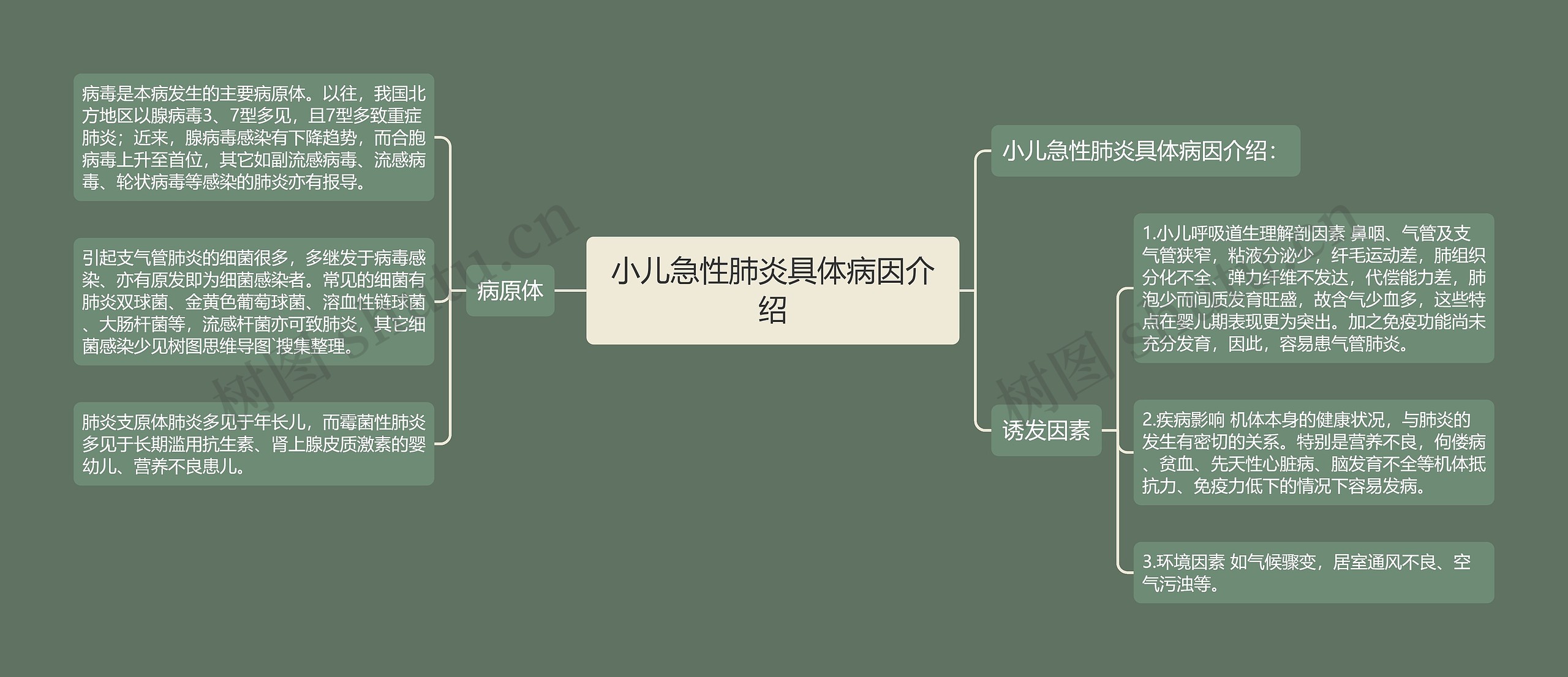 小儿急性肺炎具体病因介绍思维导图