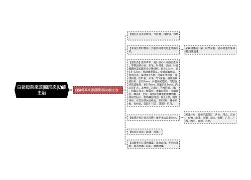 白猪母菜来源|原形态|功能主治