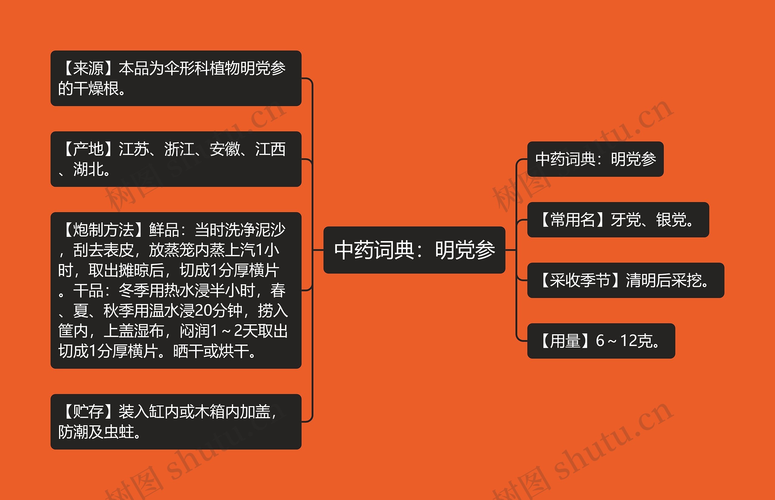 中药词典：明党参