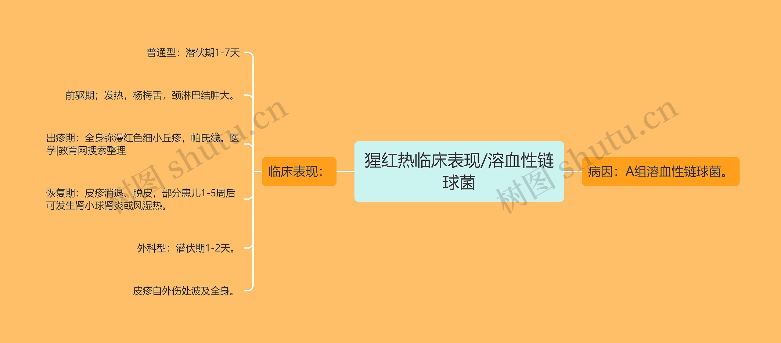 猩红热临床表现/溶血性链球菌思维导图