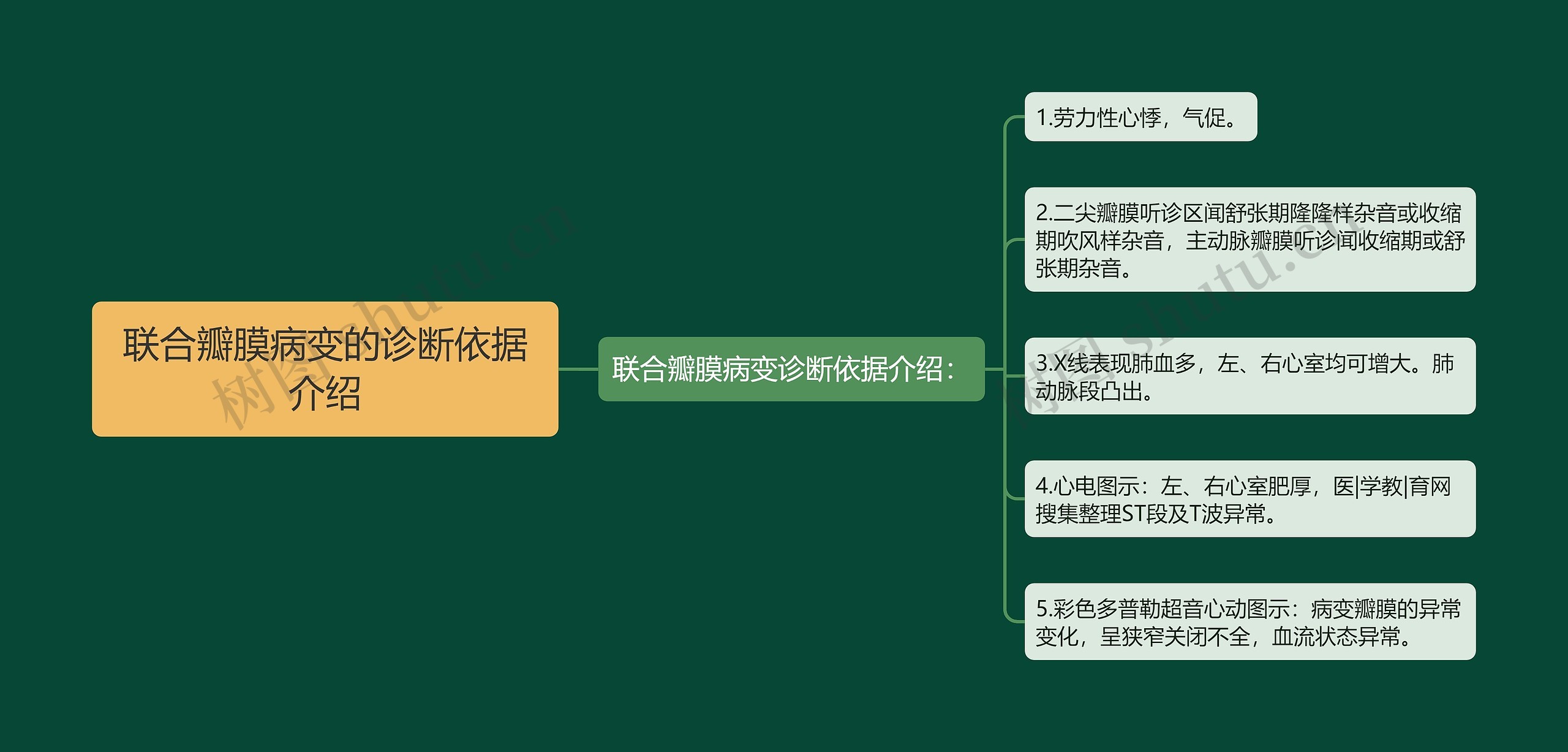 联合瓣膜病变的诊断依据介绍