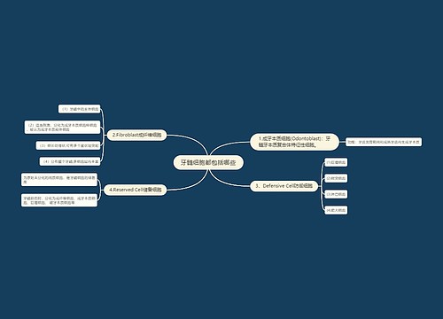 牙髓细胞都包括哪些