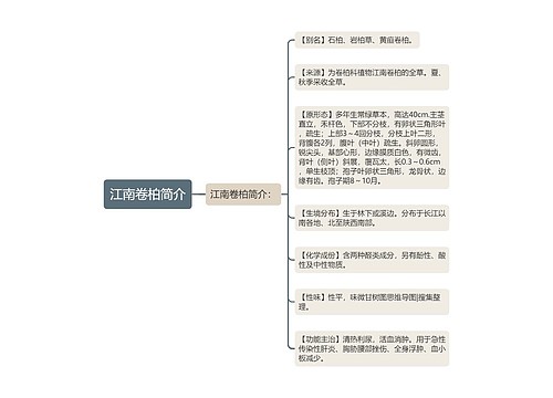 江南卷柏简介