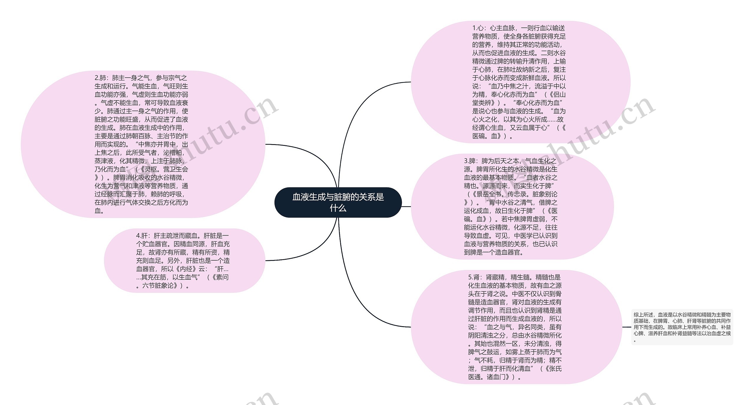 血液生成与脏腑的关系是什么