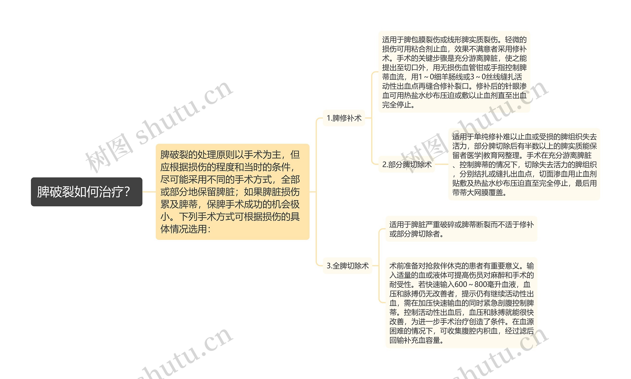 脾破裂如何治疗？思维导图