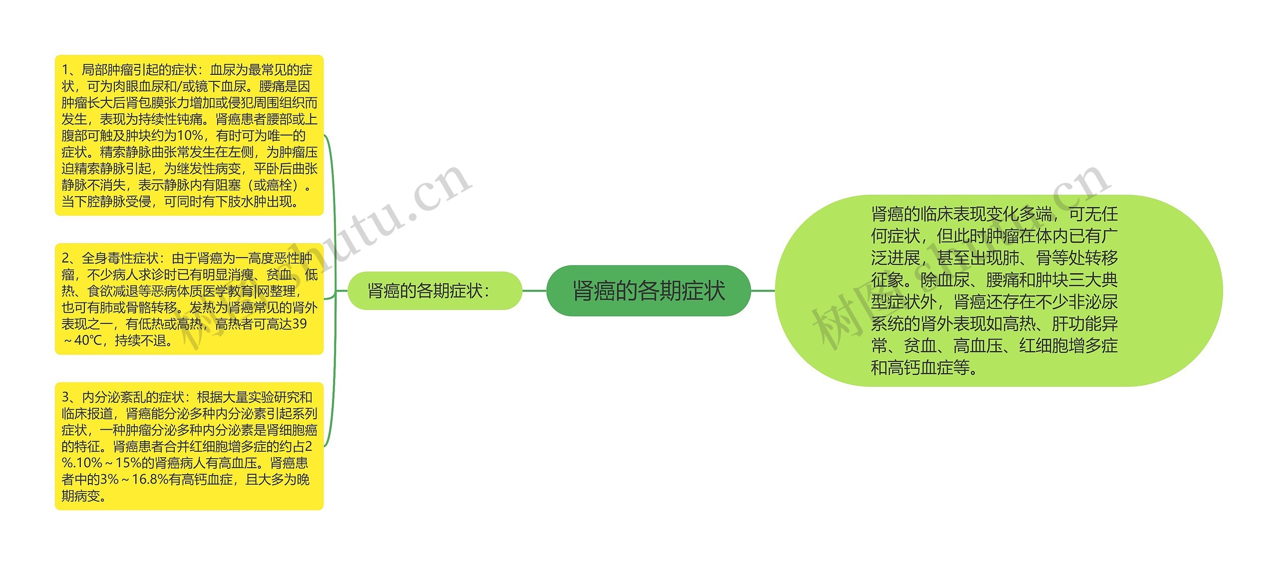 肾癌的各期症状思维导图